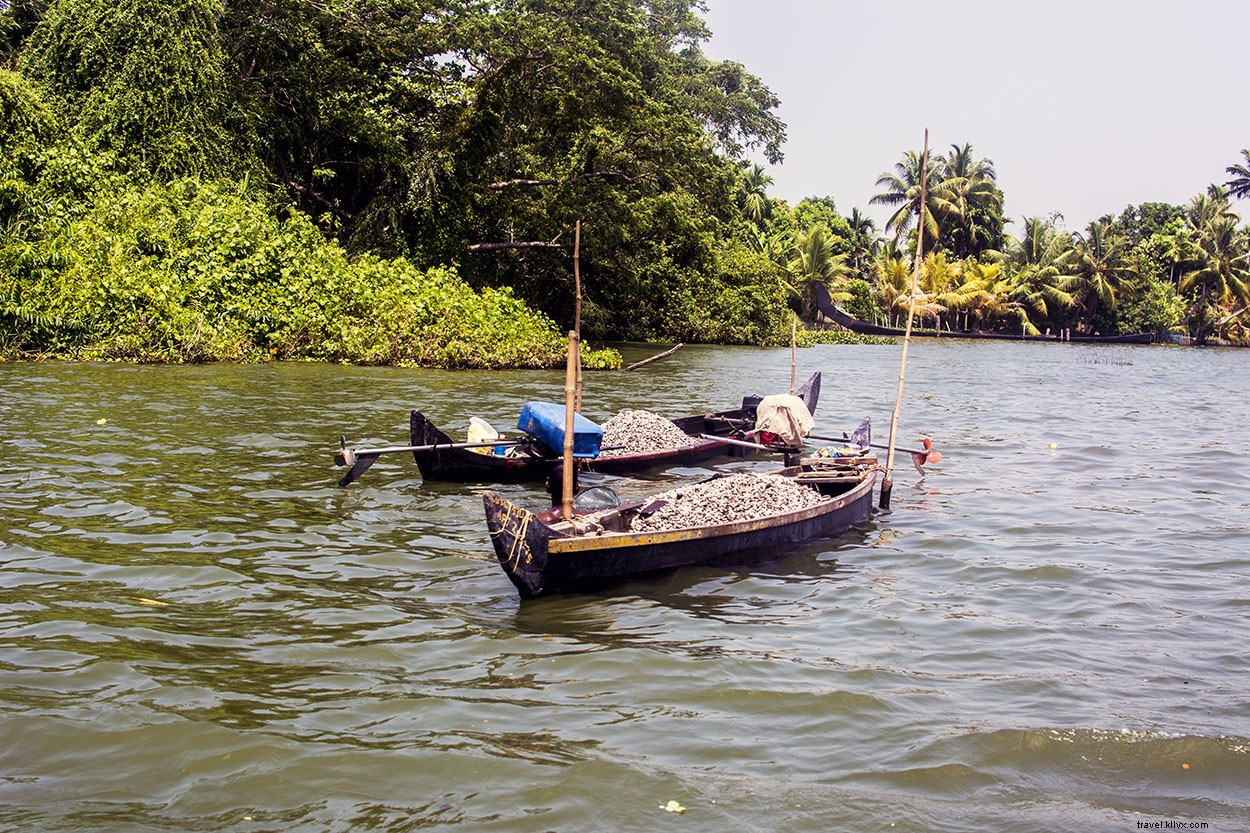 Everyday Life in Alleppy s Serene Backwaters: Authentic Kerala Experience