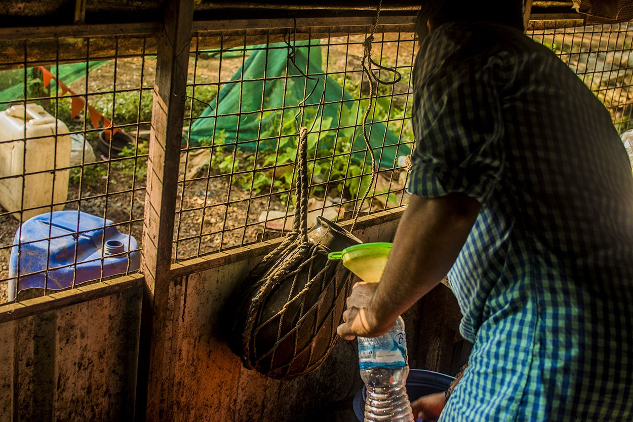 Everyday Life in Alleppy s Serene Backwaters: Authentic Kerala Experience