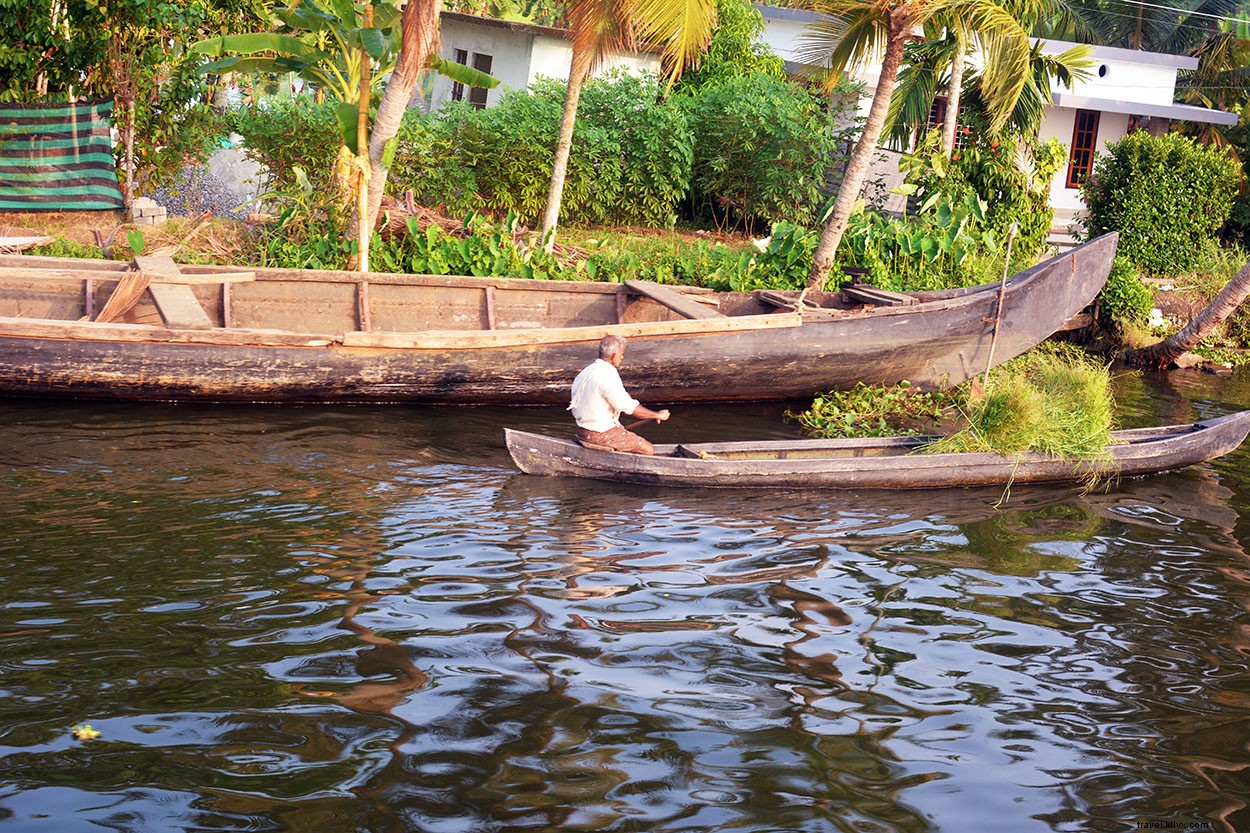 Everyday Life in Alleppy s Serene Backwaters: Authentic Kerala Experience