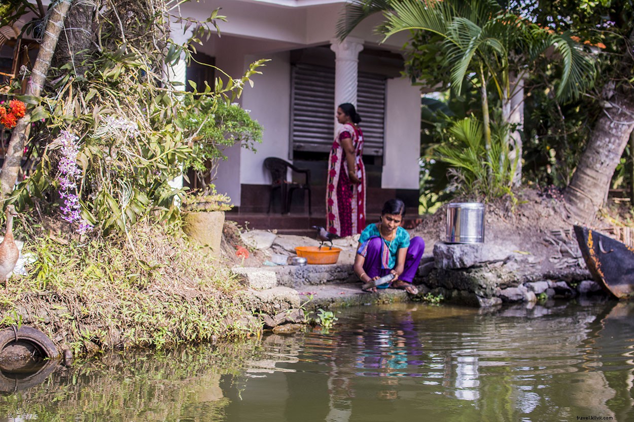 Everyday Life in Alleppy s Serene Backwaters: Authentic Kerala Experience