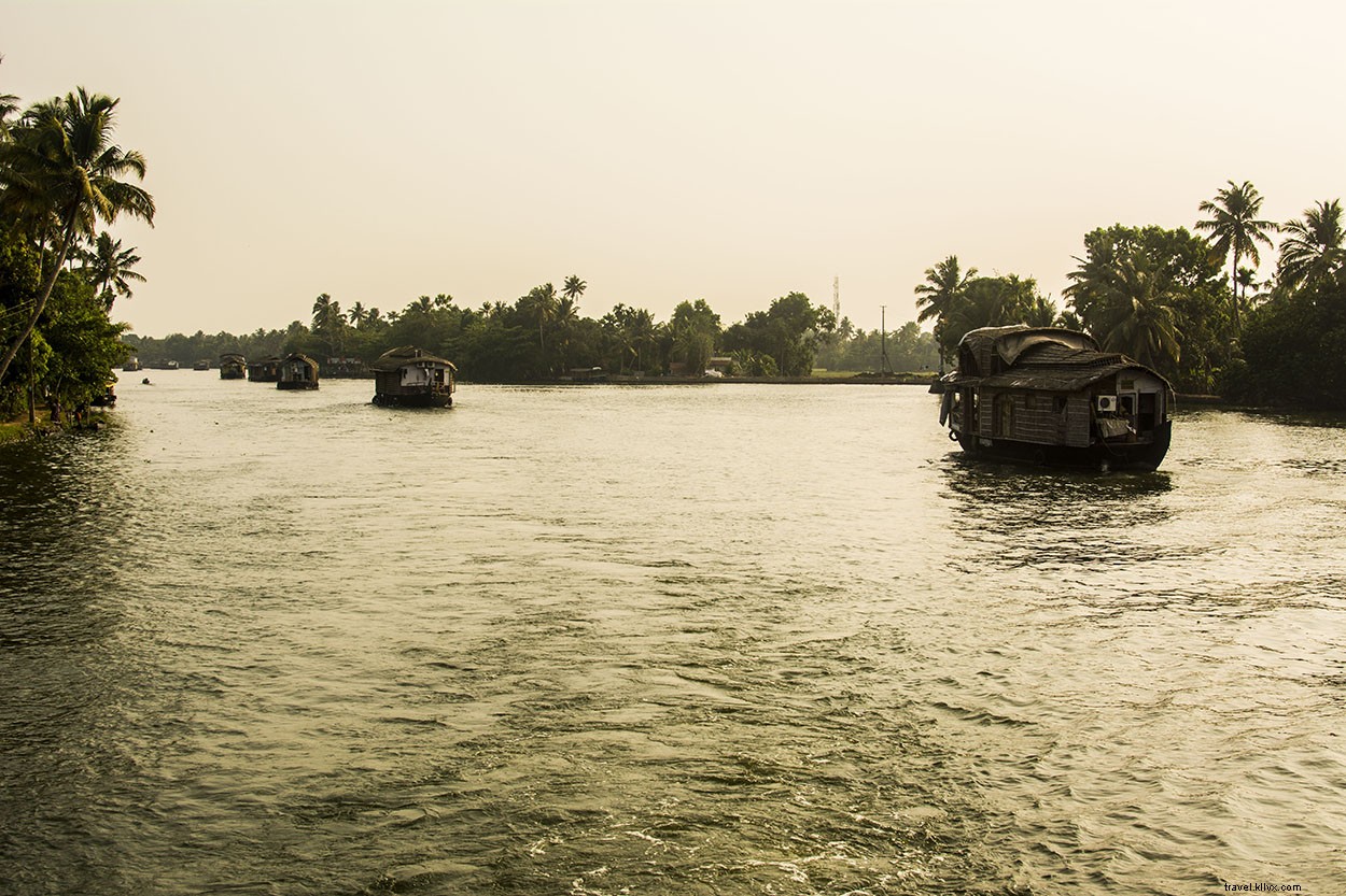 Everyday Life in Alleppy s Serene Backwaters: Authentic Kerala Experience