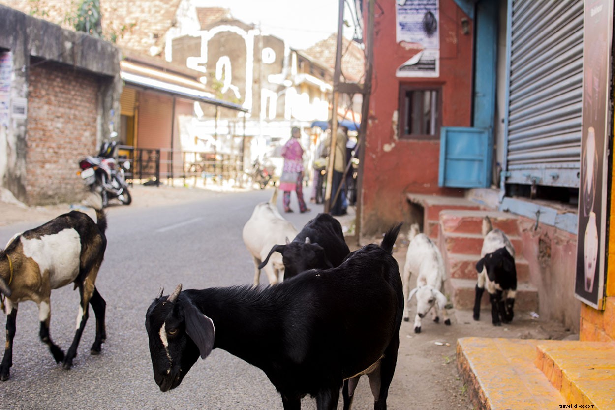 25 Stunning Photos of Fort Kochi Streets: Virtual Tour of Kerala s Cultural Gem