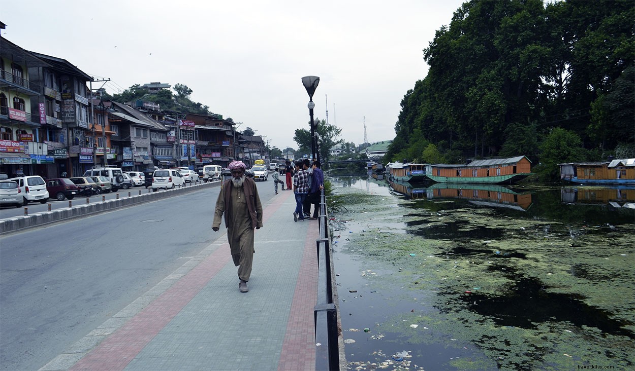 Srinagar Solo Trip: Honest Review of My Disappointing Experience + Essential Travel Tips