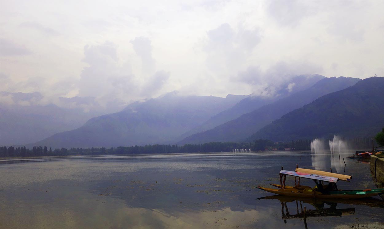 Srinagar Solo Trip: Honest Review of My Disappointing Experience + Essential Travel Tips