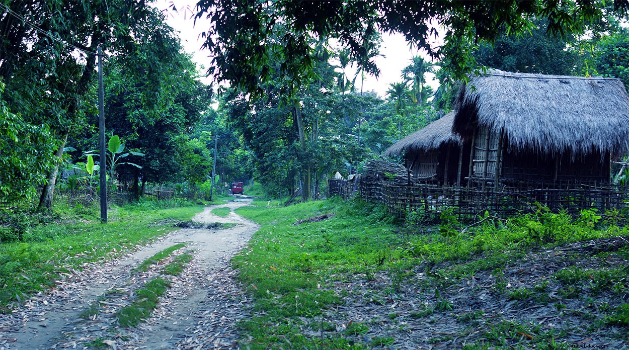 16 Stunning Majuli Island Photos: Your Complete Virtual Tour