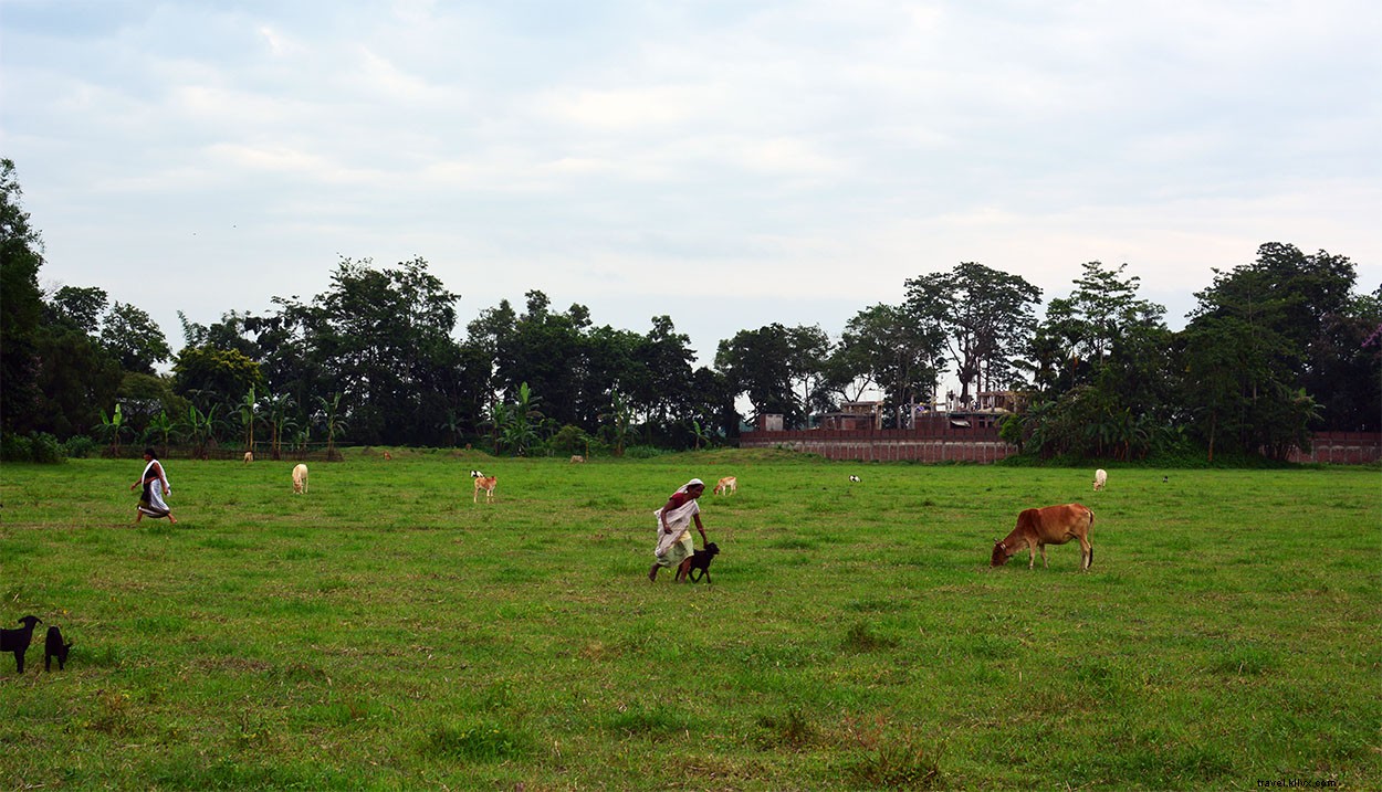 16 Stunning Majuli Island Photos: Your Complete Virtual Tour