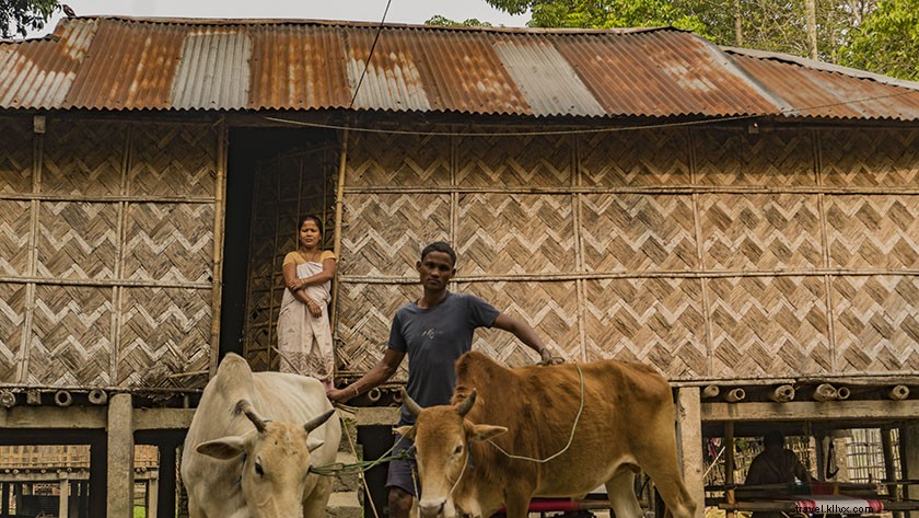 16 Stunning Majuli Island Photos: Your Complete Virtual Tour