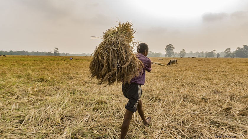 16 Stunning Majuli Island Photos: Your Complete Virtual Tour