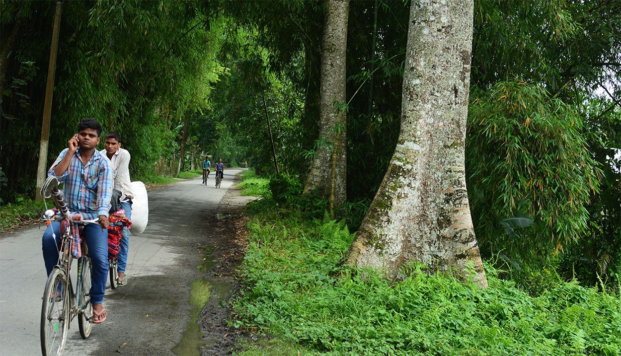 16 Stunning Majuli Island Photos: Your Complete Virtual Tour
