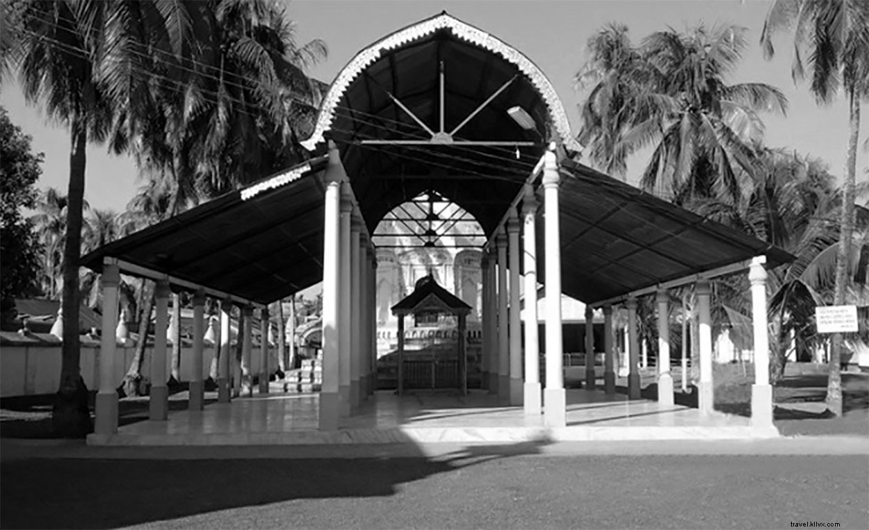 16 Stunning Majuli Island Photos: Your Complete Virtual Tour