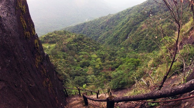 Discover Nongriat: Living Root Bridges, Natural Wonders & Cultural Heritage