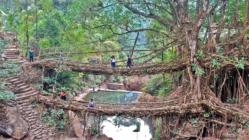 Discover Nongriat: Living Root Bridges, Natural Wonders & Cultural Heritage