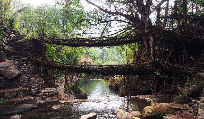 Discover Nongriat: Living Root Bridges, Natural Wonders & Cultural Heritage