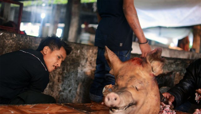 Discover Nongriat: Living Root Bridges, Natural Wonders & Cultural Heritage