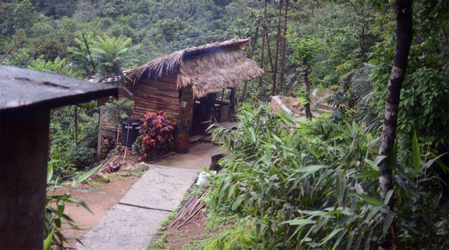 Discover Nongriat: Living Root Bridges, Natural Wonders & Cultural Heritage