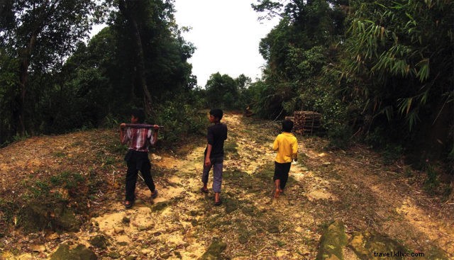 10 Stunning Photos of Nongriat s Living Root Bridges in Meghalaya