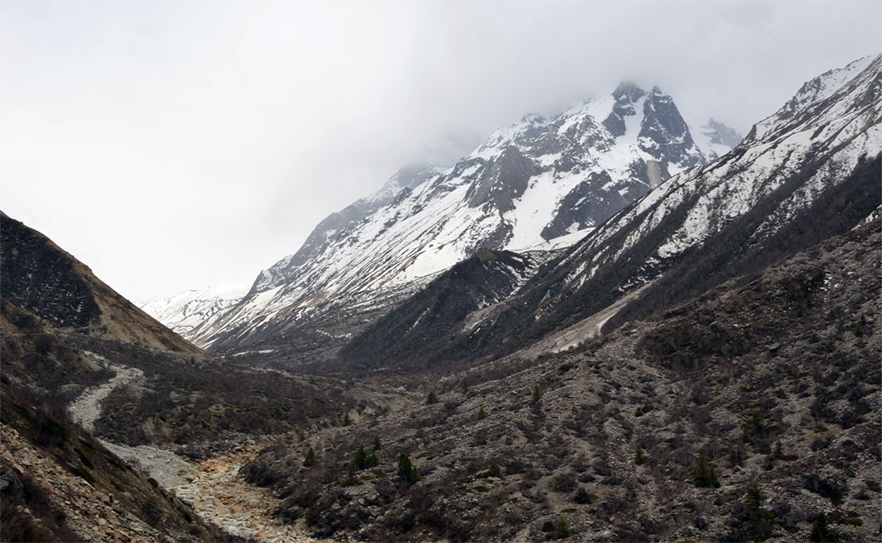 Gangotri to Gomukh Trek: Ultimate 2-Day Itinerary & Essential Guide
