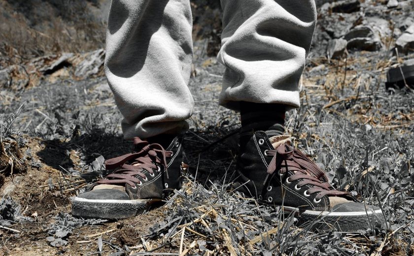 Gangotri to Gomukh Trek: Ultimate 2-Day Itinerary & Essential Guide