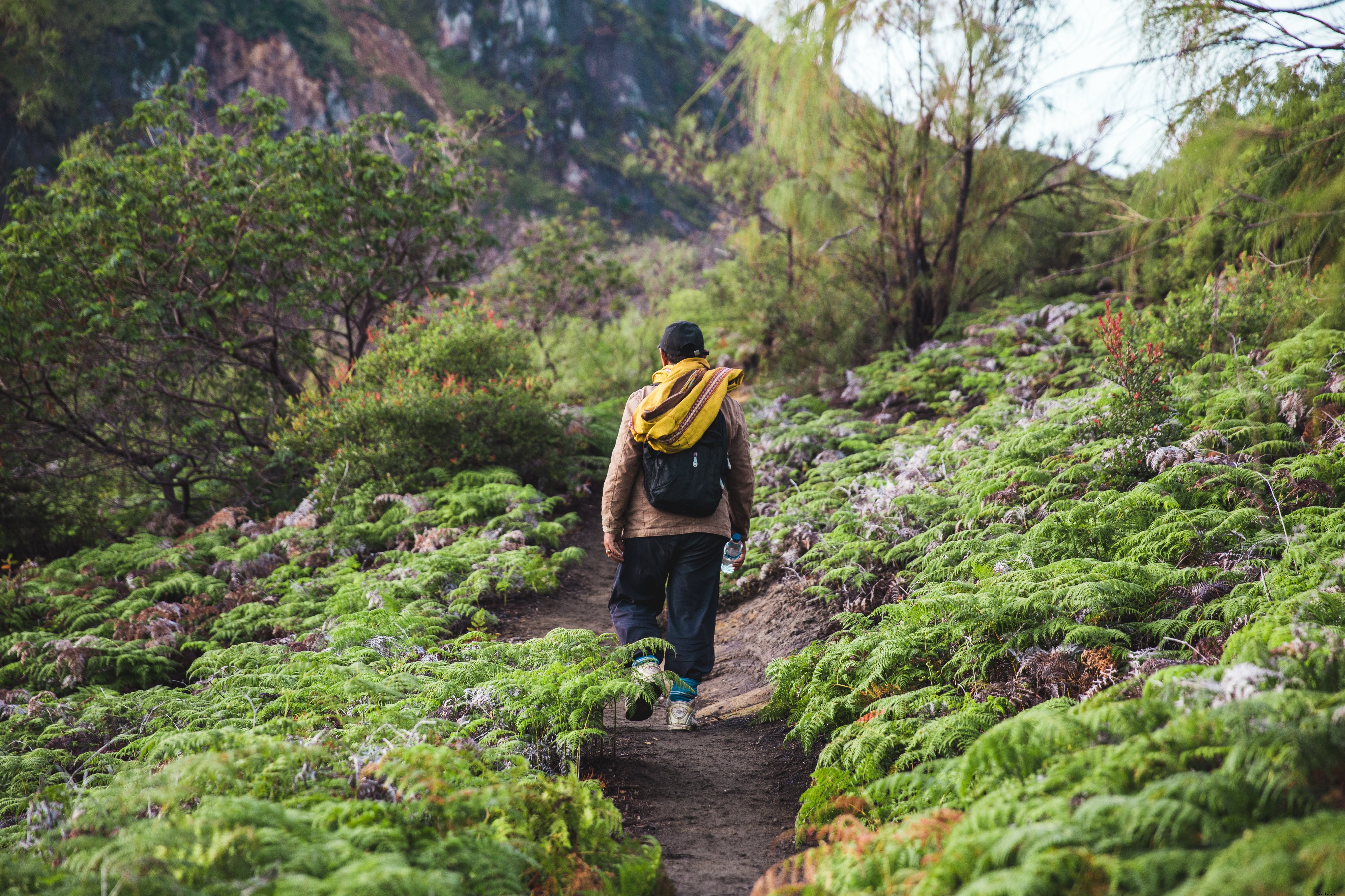 Stunning Photo: Hiking Up the Scenic Mountain Path