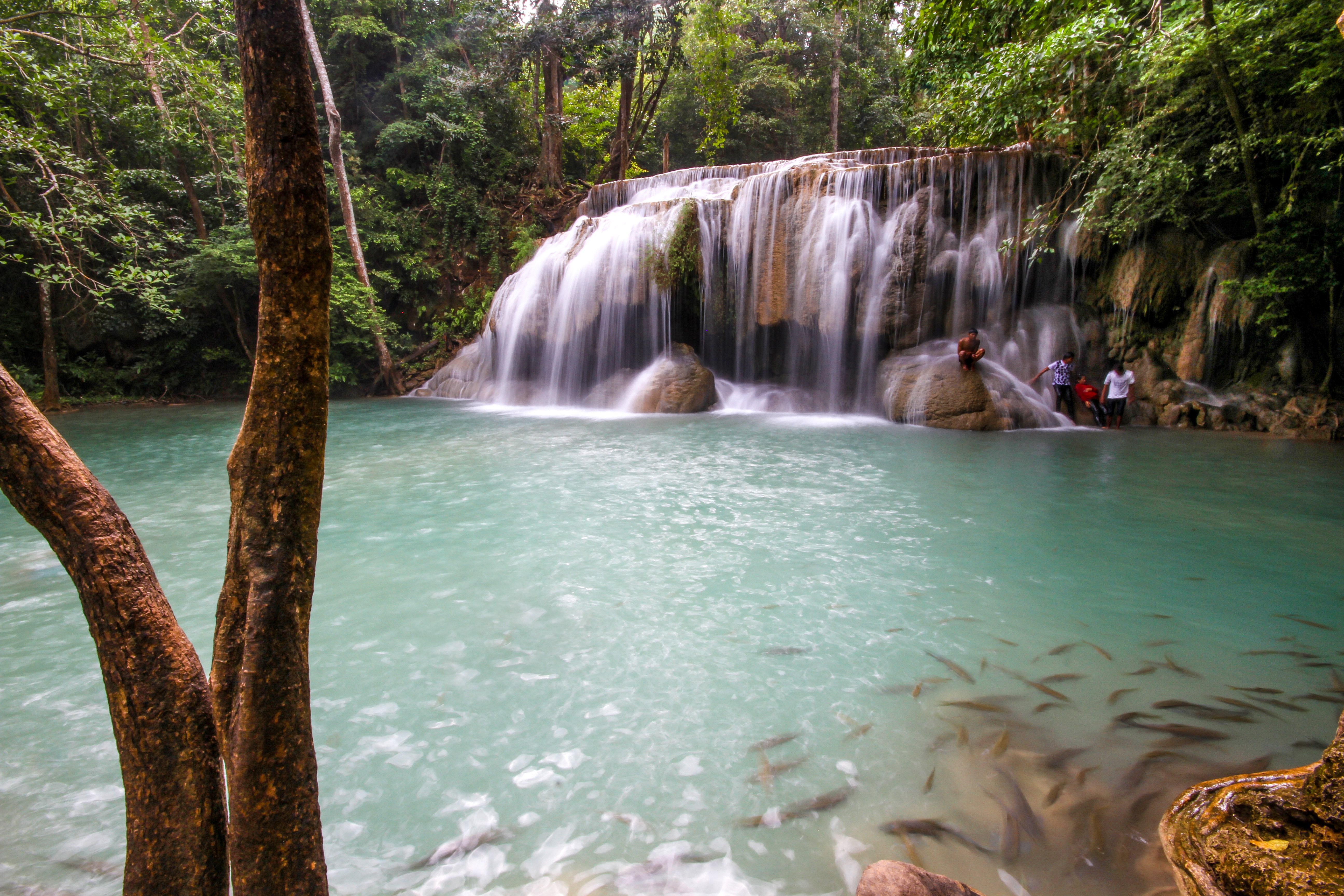 Stunning Tropical Waterfall Photography: Nature s Paradise