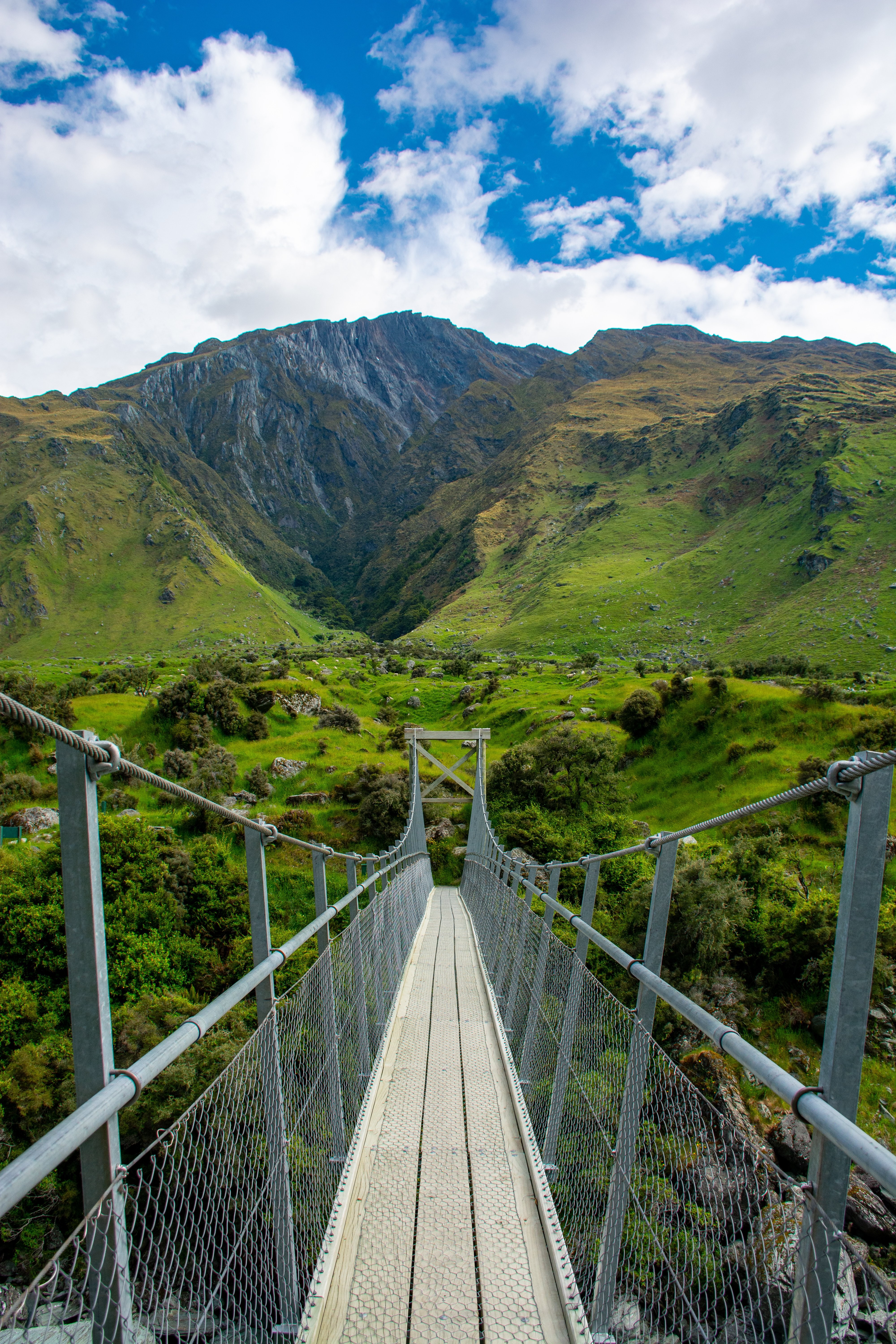 Stunning Hanging Bridge Over New Zealand s Lush Fields and Majestic Mountains – Captivating Photo