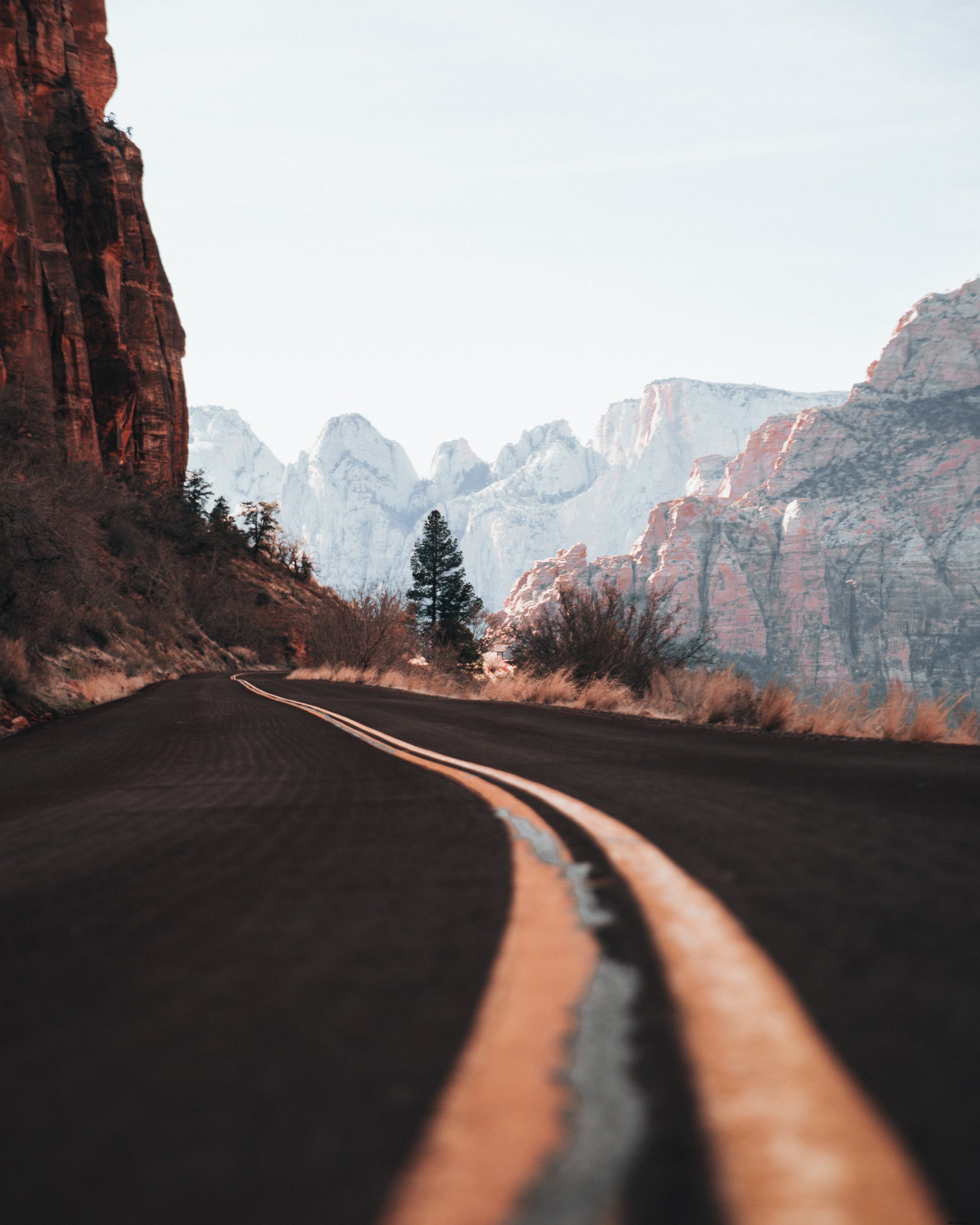 Stunning Close-Up Photo of the Curvy Canyon Highway