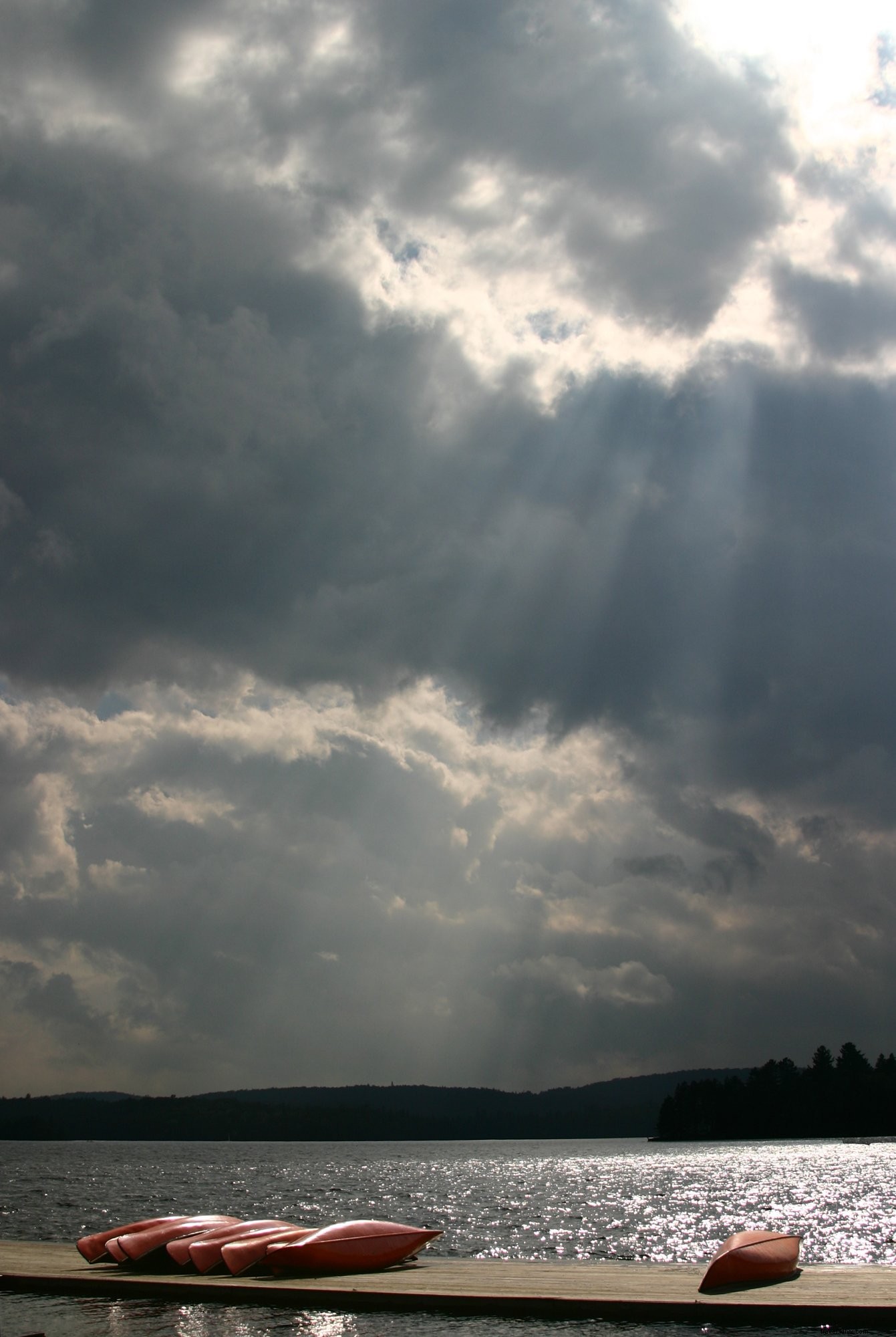 Stunning Kayaks Lined Up on a Wooden Dock - High-Quality Photo