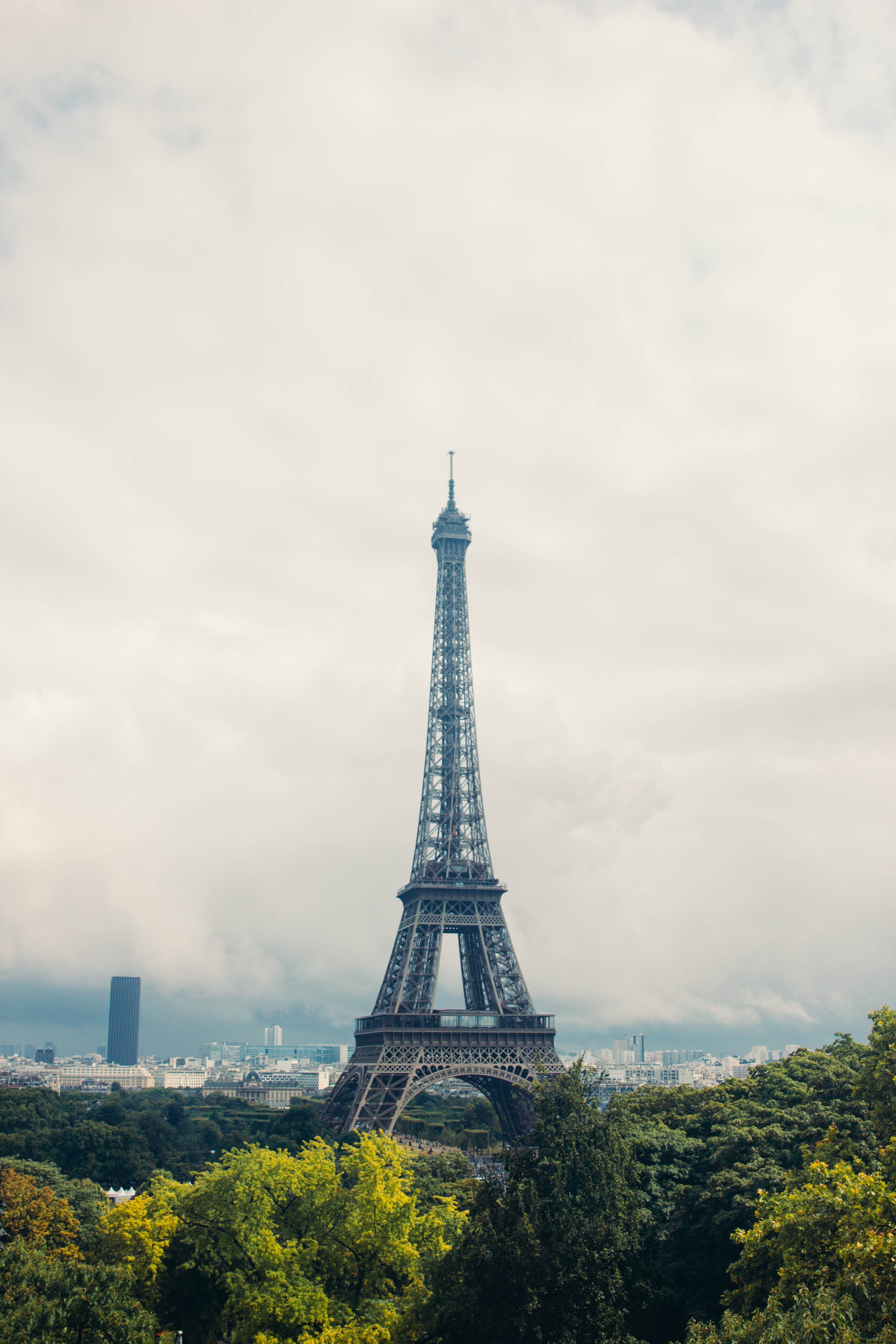 Stunning Eiffel Tower Photo: Iconic Paris, France Landmark