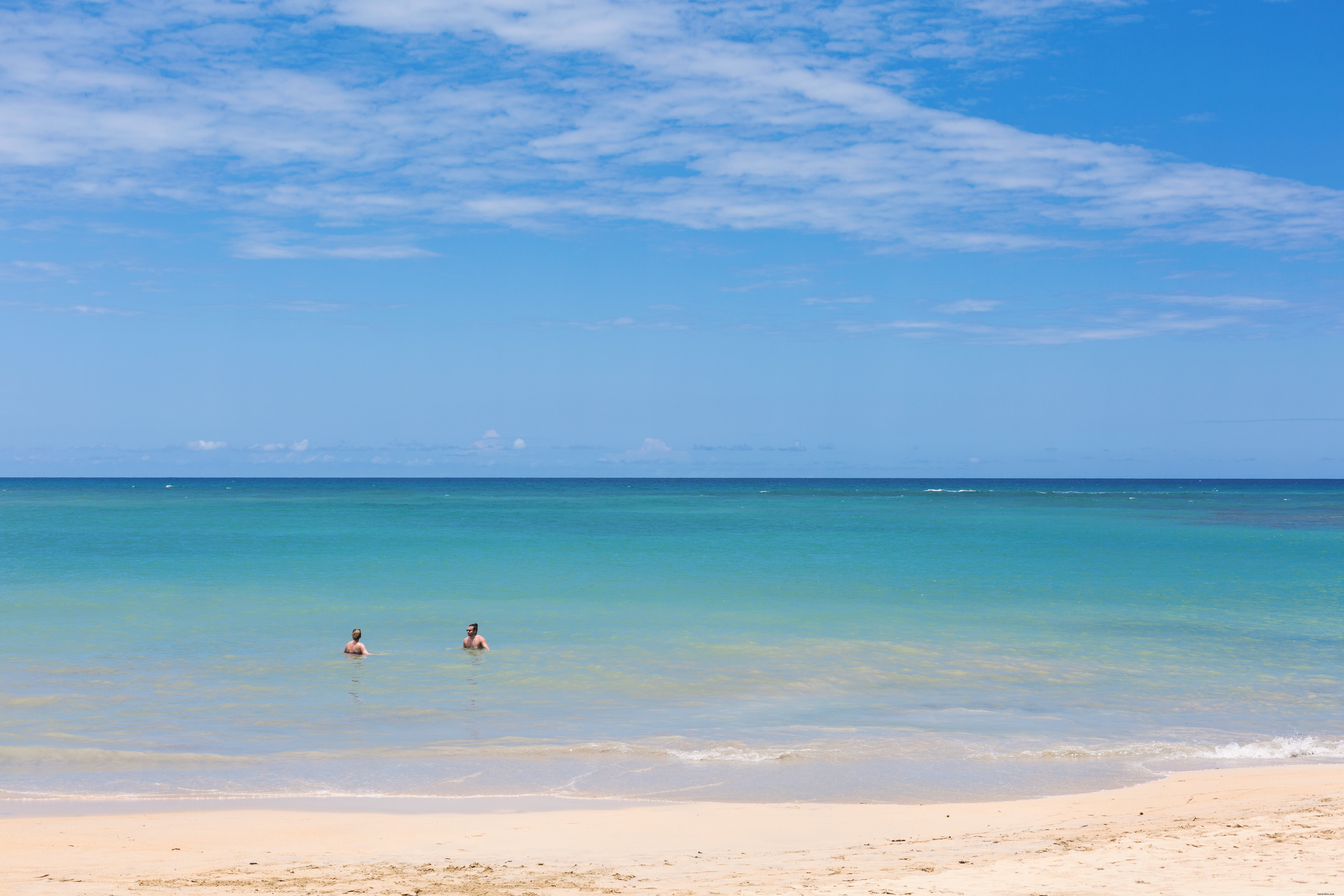 Stunning Ocean Swimmers Enjoying Tropical Vacation Photo