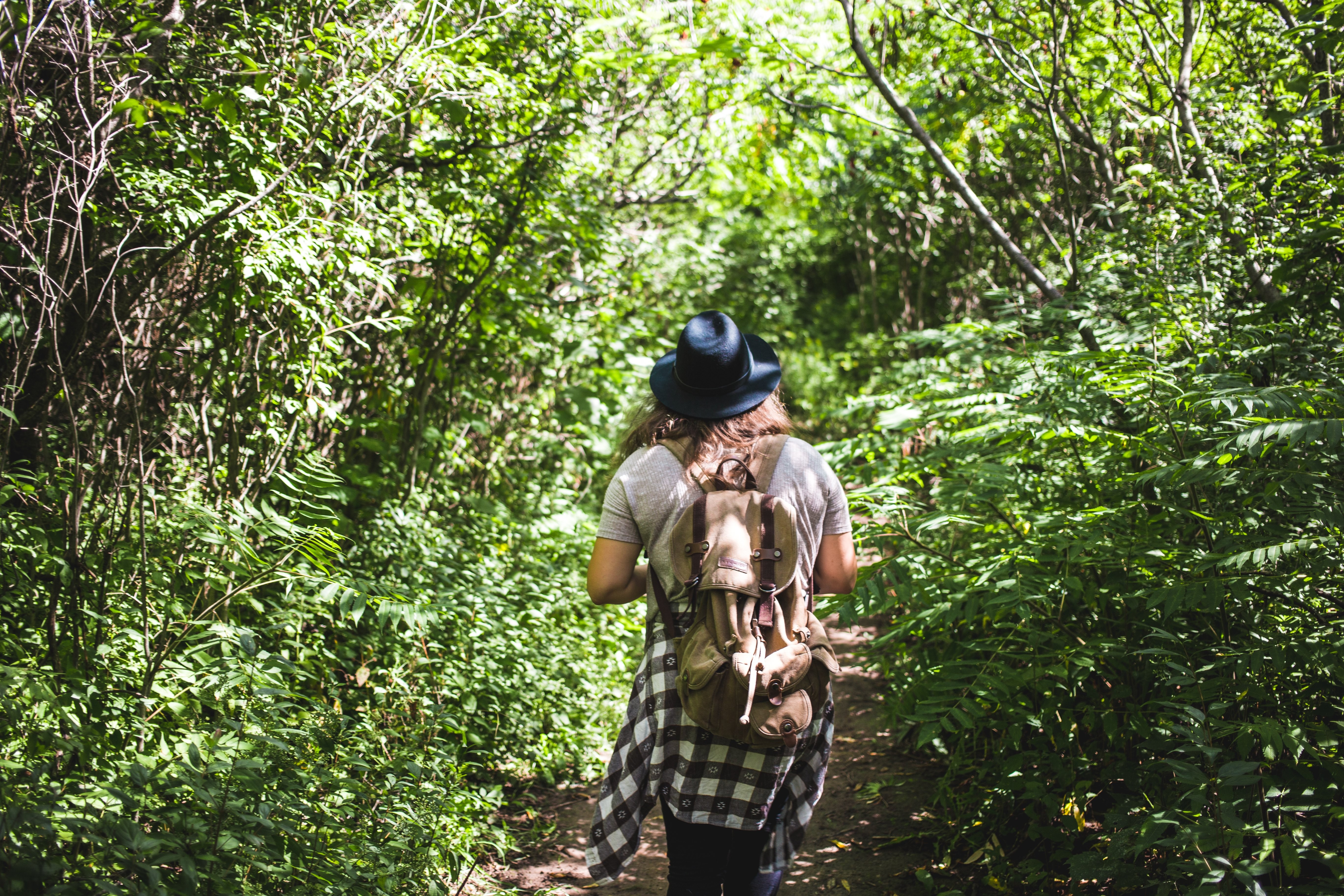 Stunning Hiking Photo: Trekking Through Dense Brush
