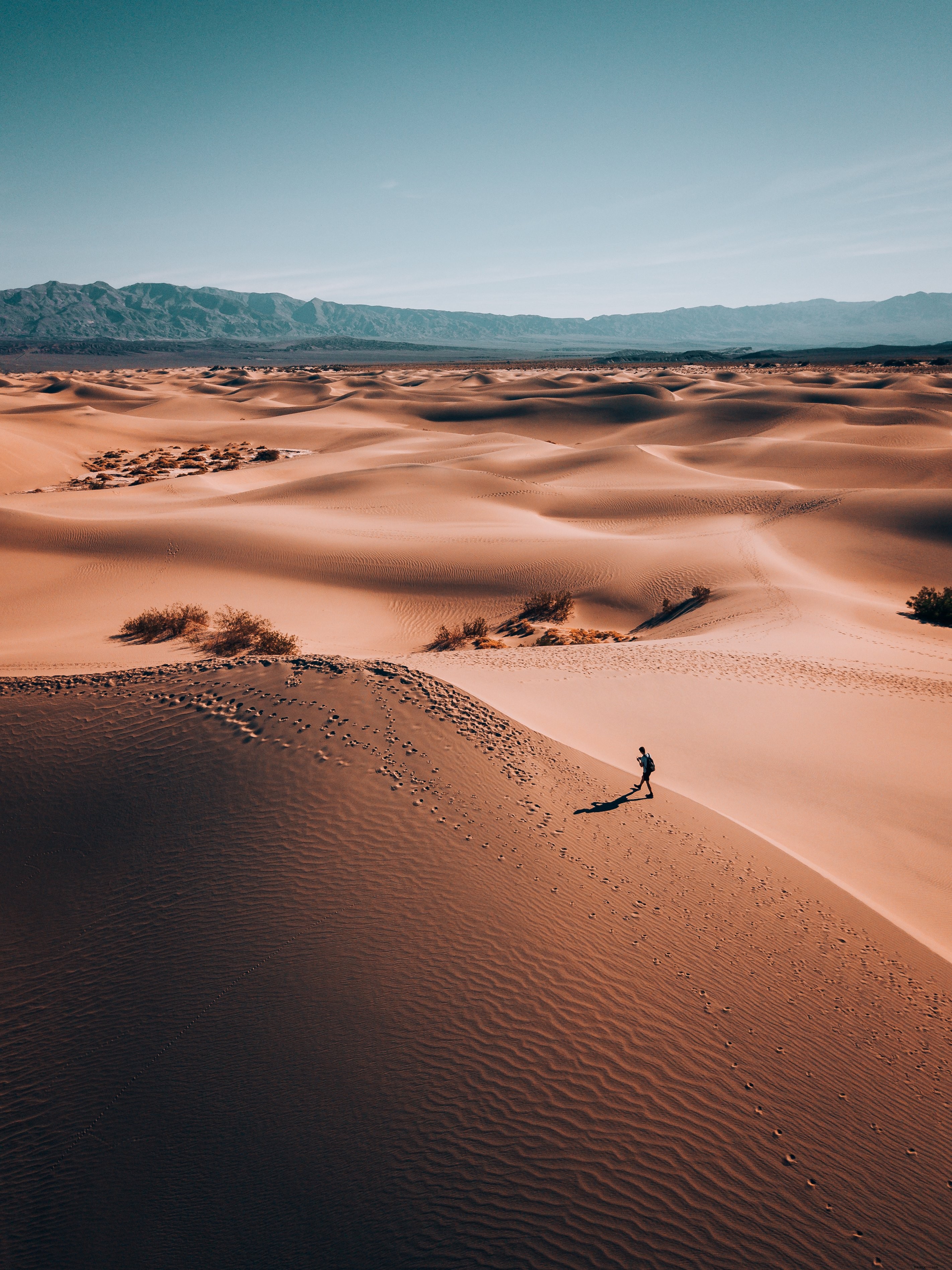 Captivating Photo: Lone Wanderer in Vast Desert Landscape