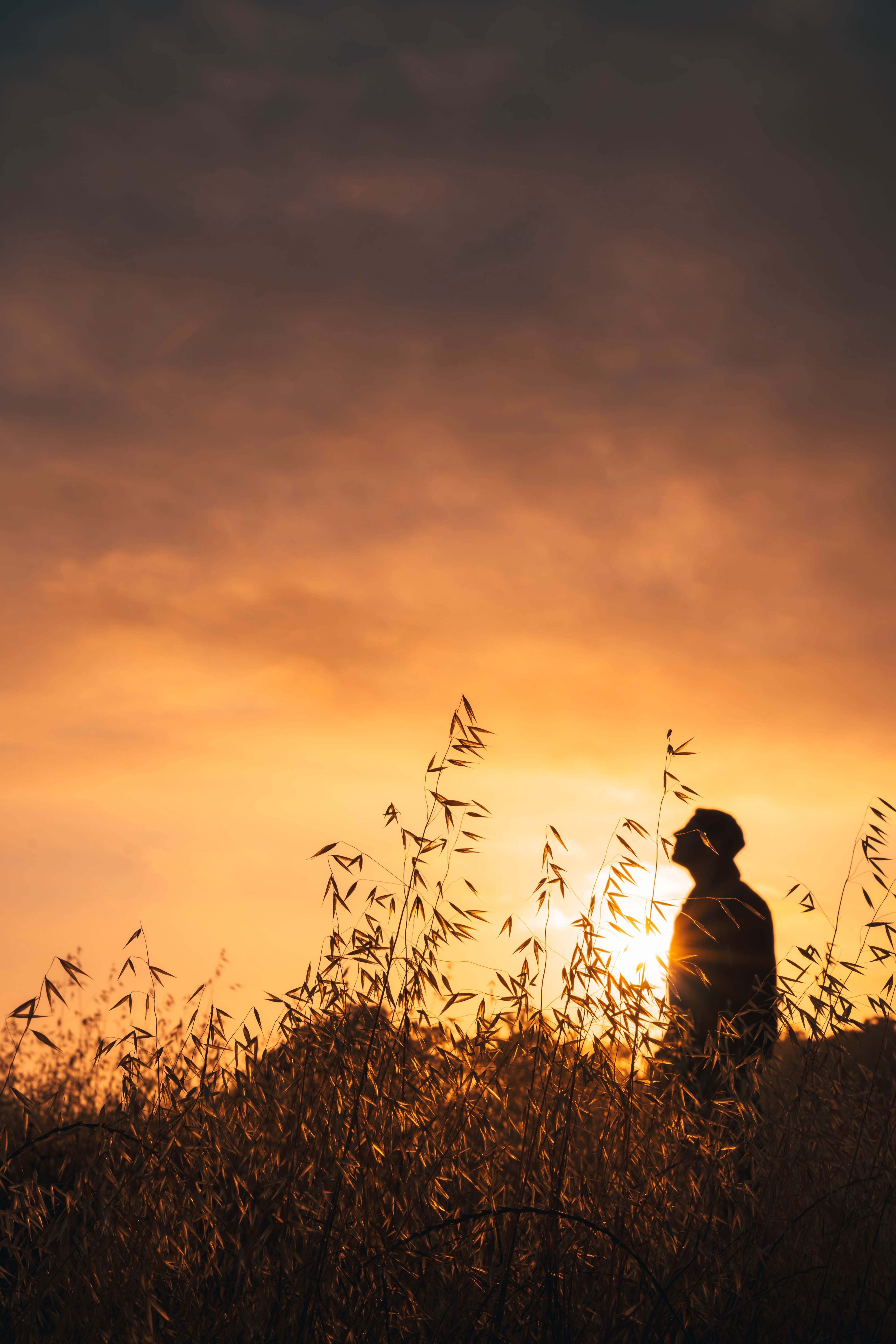 Stunning Man in Golden Field at Sunset – Professional Photography
