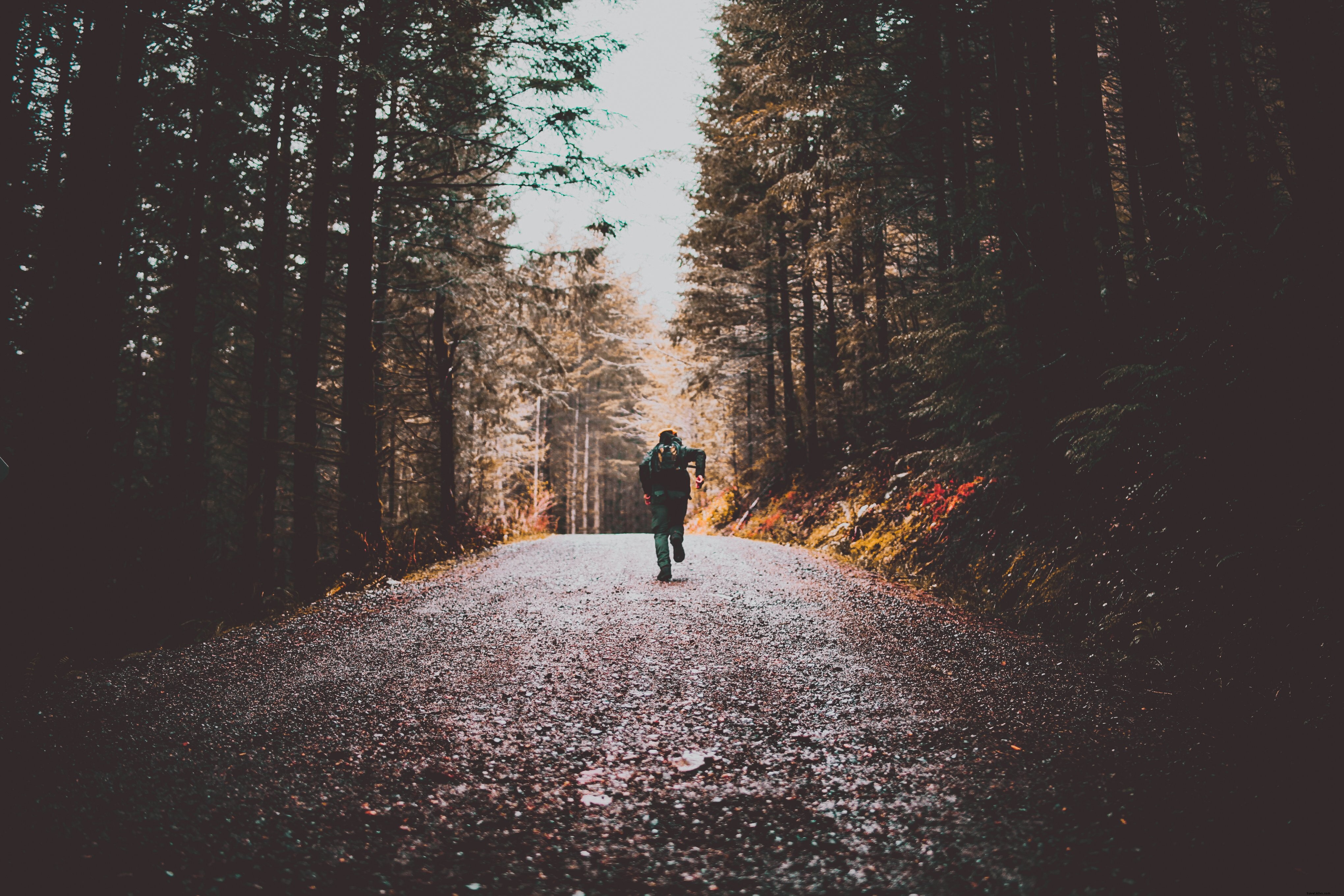 Stunning Photo: Hiker Sprinting Up Forest Trail Between Towering Trees