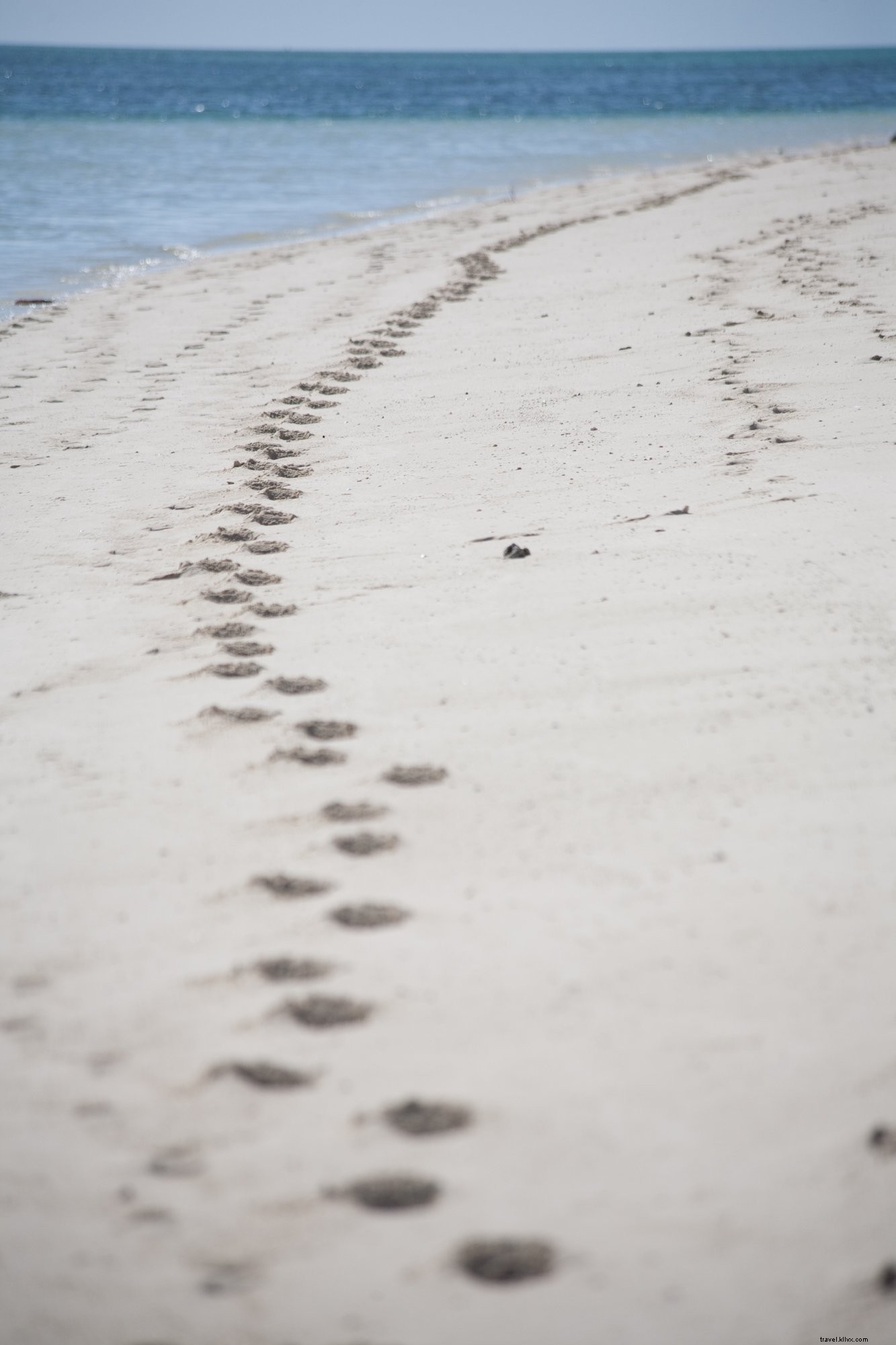 Captivating Footprints in the Sand: Stunning Australian Beach Photography