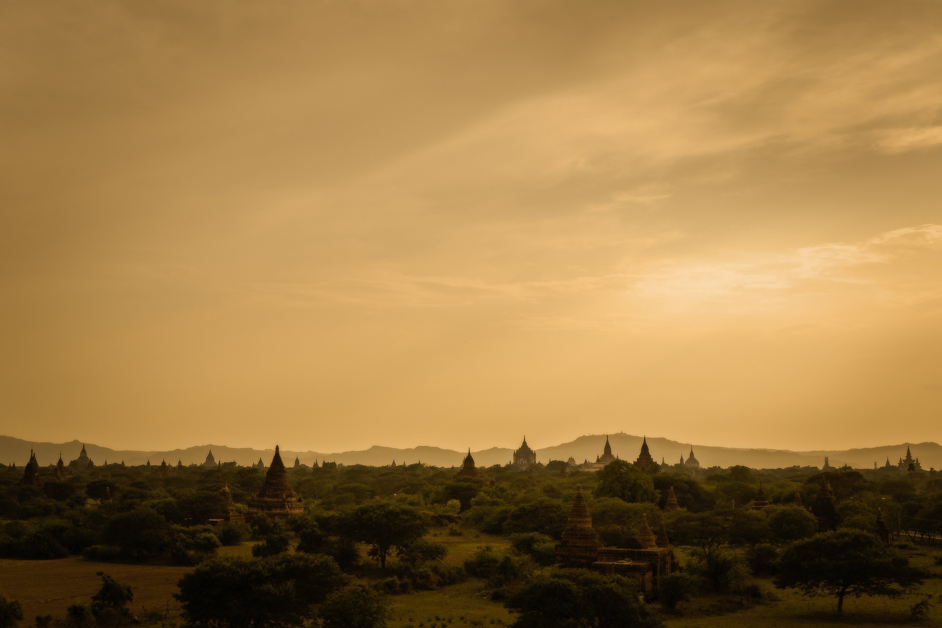 Majestic Temple Peeking Through Lush Treeline – Stunning High-Res Photo