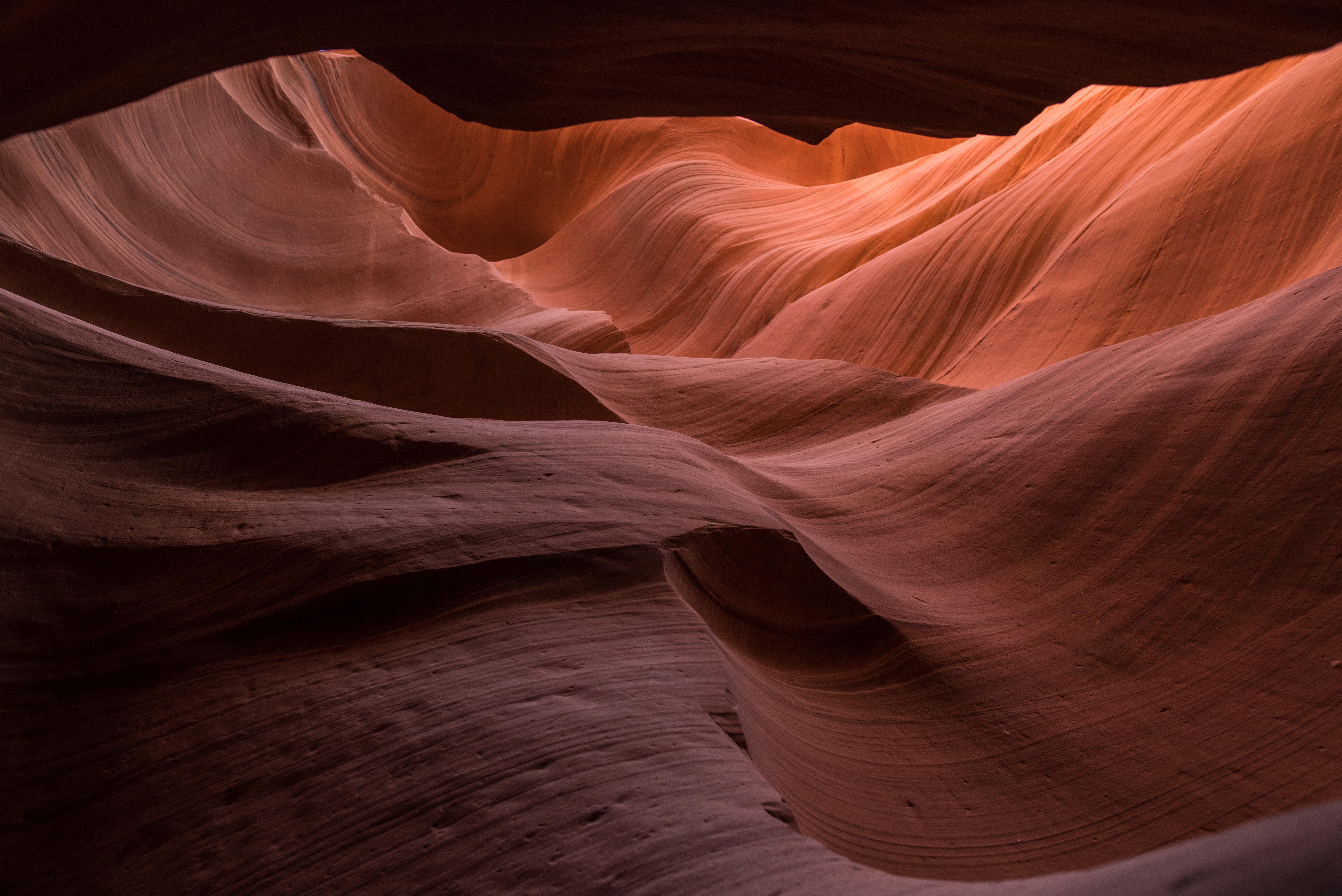 Breathtaking Depths: Stunning Photo from Beneath Antelope Canyon