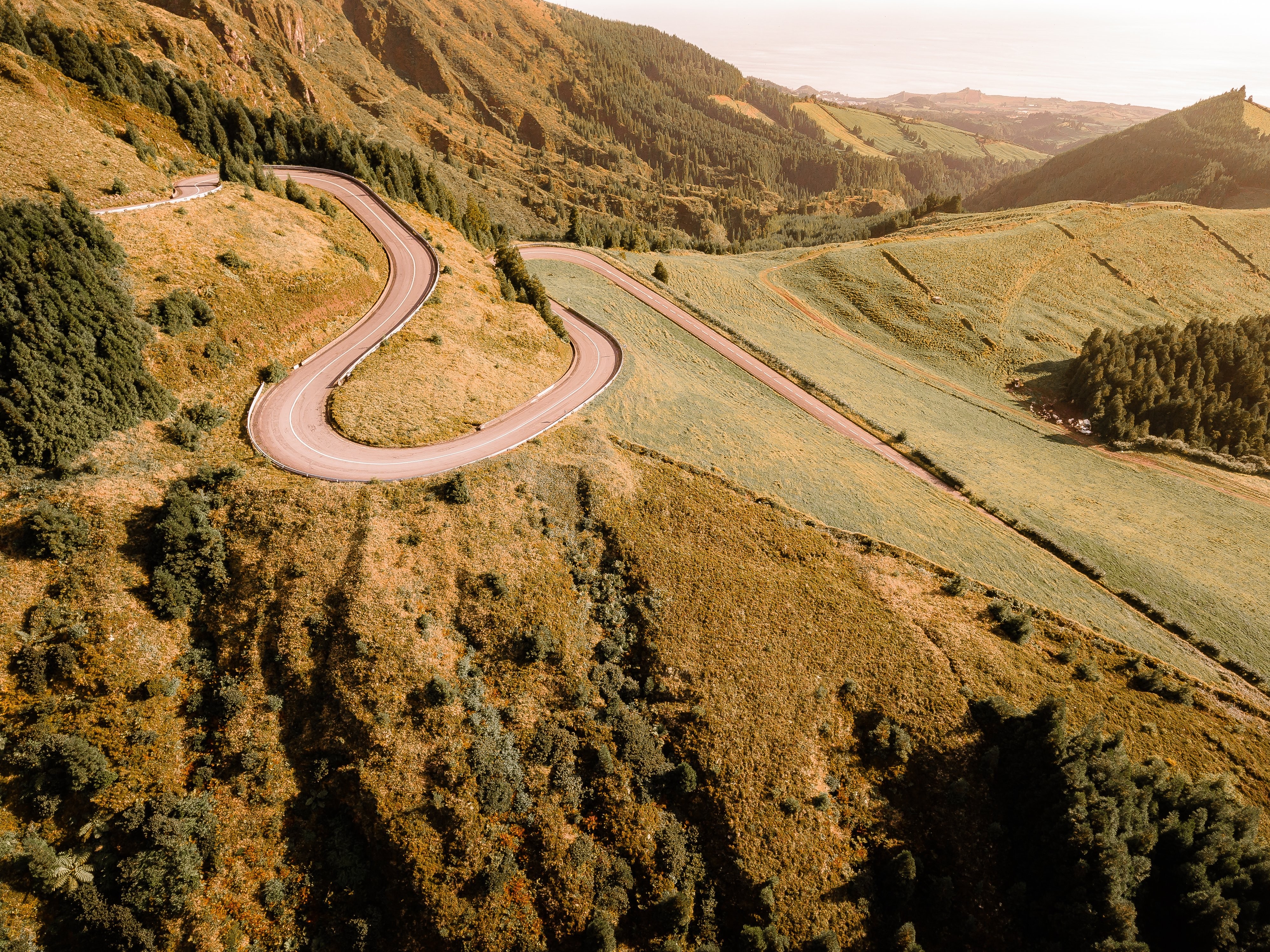 Stunning Winding Road Through Lush Grassy Hills and Tree-Lined Scenery