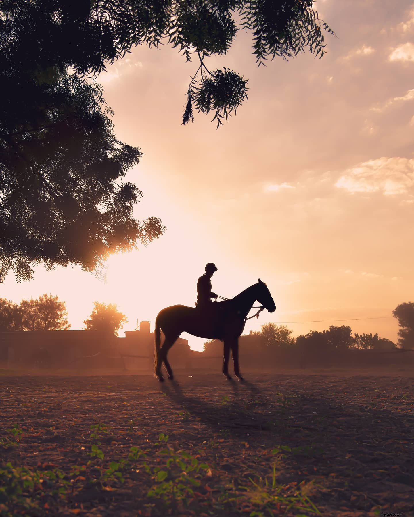 Dramatic Silhouette of Rider on Horseback in Vast Open Field – Stunning Photo