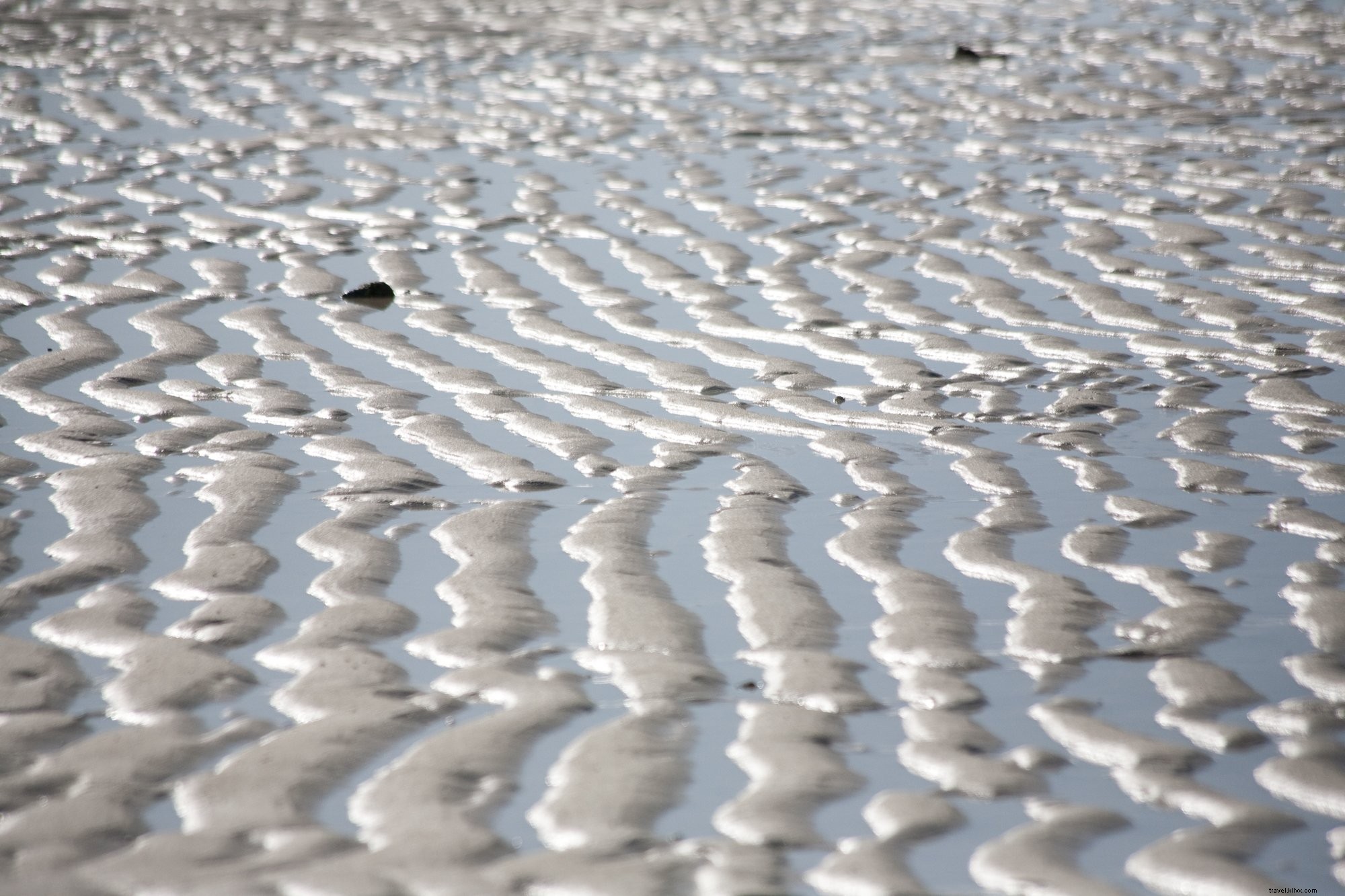 Stunning Rippled Ocean Beach Sand: Mesmerizing High-Res Photo