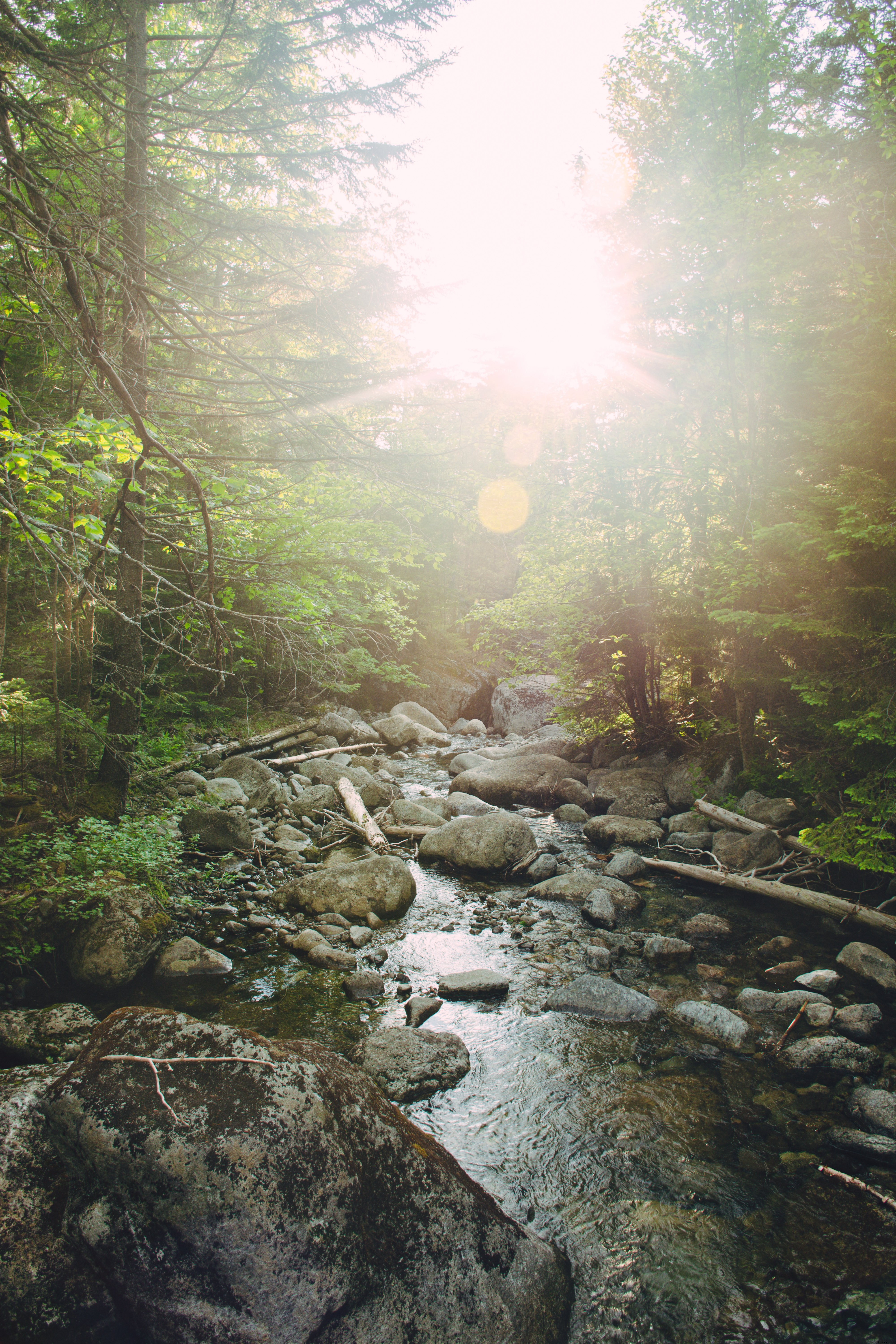 Stunning River Landscape: Sunshine Glimmering Through Trees