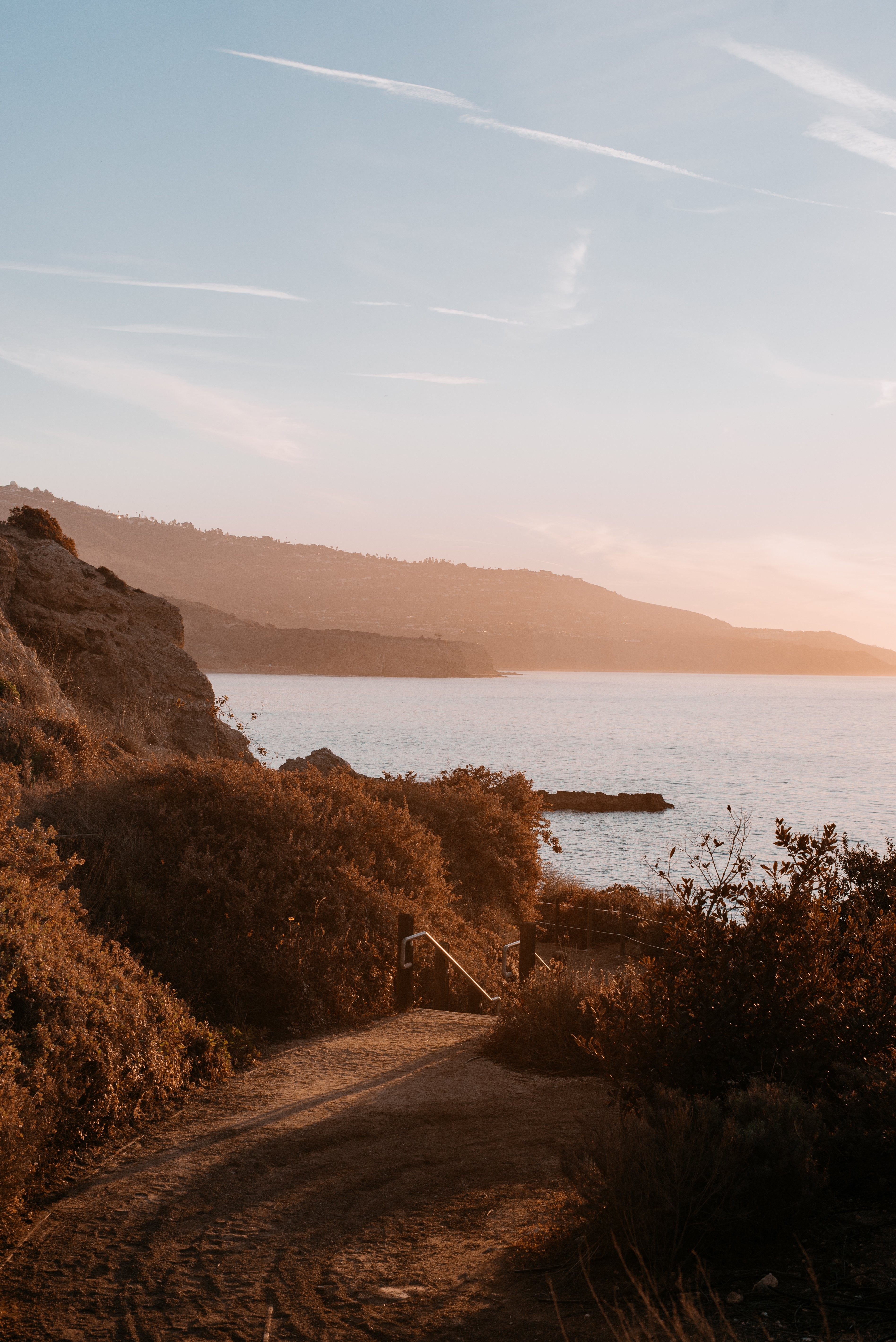 Stunning Sunlight Creeping Through Bushes: Dramatic Shadows Photo