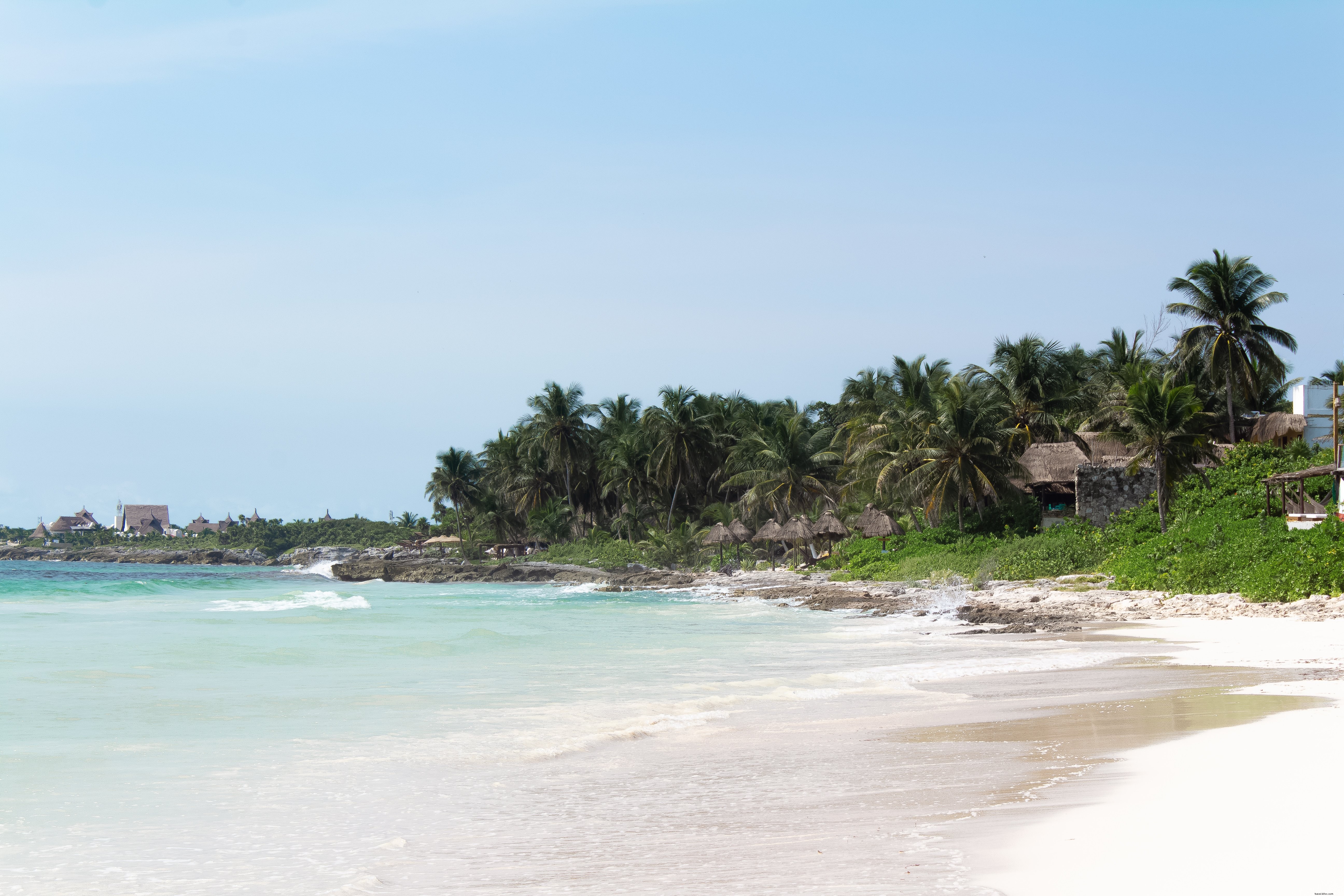 Crystal Clear Blue Waters Beneath Lush Palm Trees – Stunning Tropical Photo