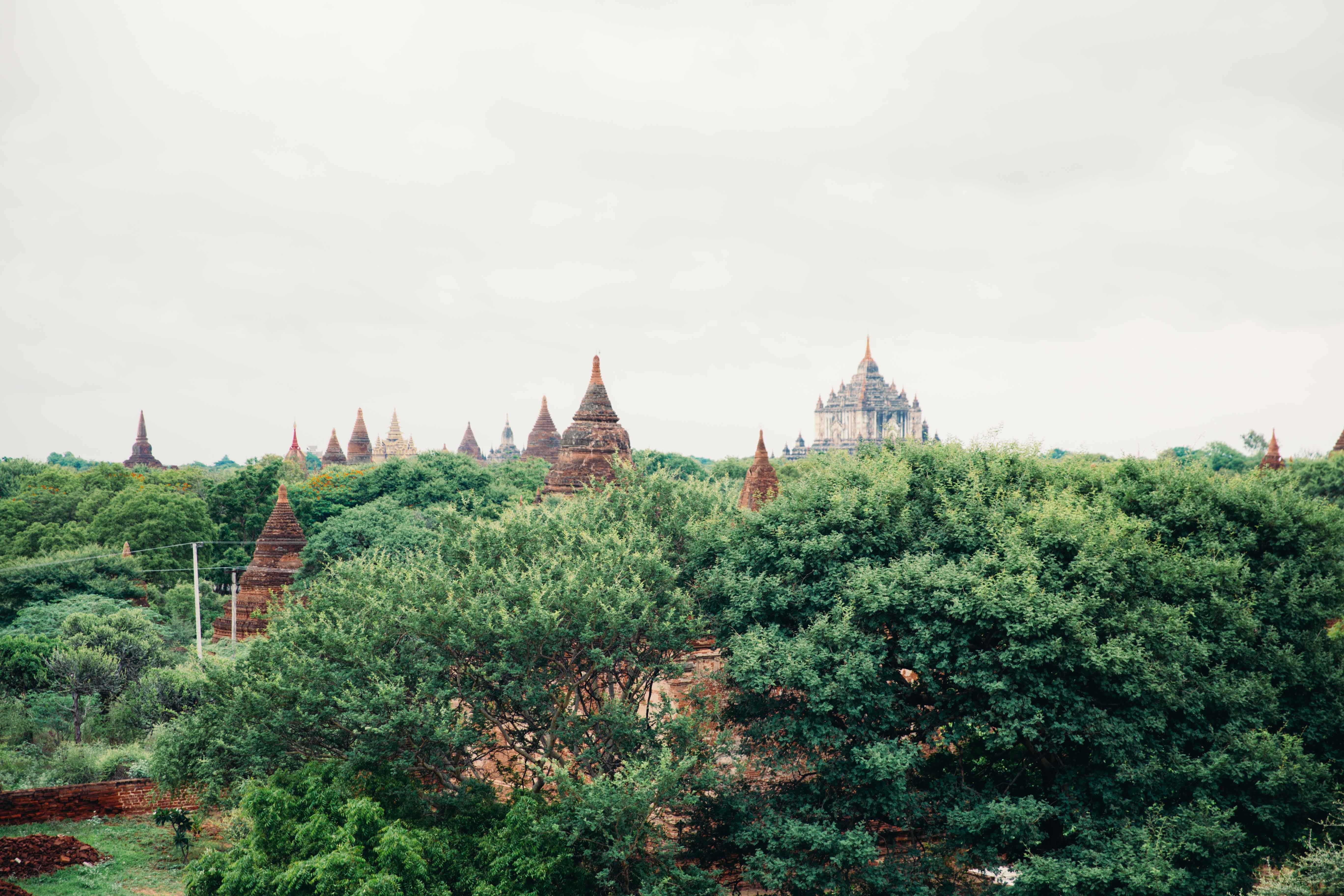 Stunning Temples Amidst Lush Treetops – Breathtaking Aerial Photo
