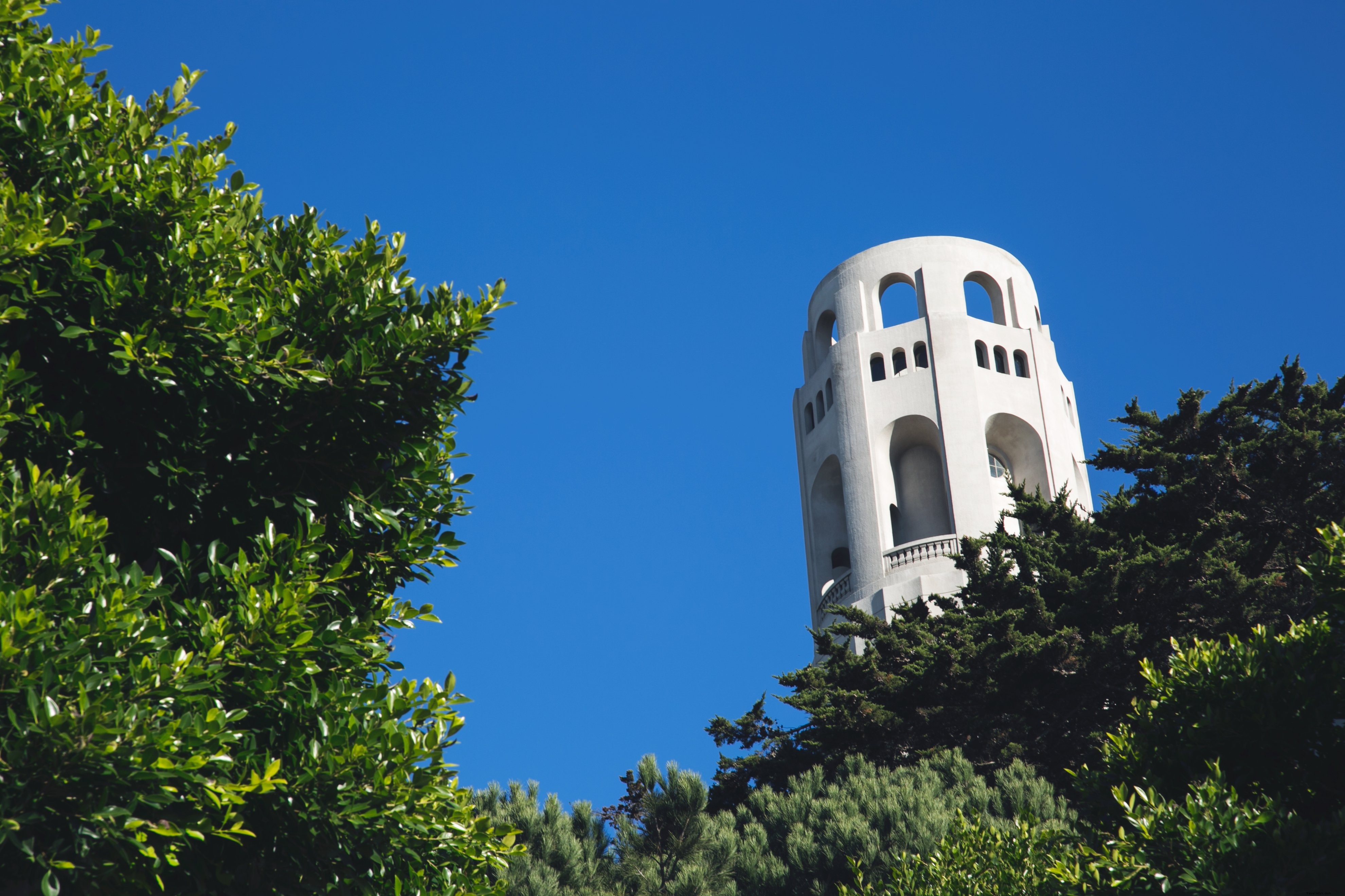 Tower Peeking Through Lush Trees: Stunning Landscape Photo