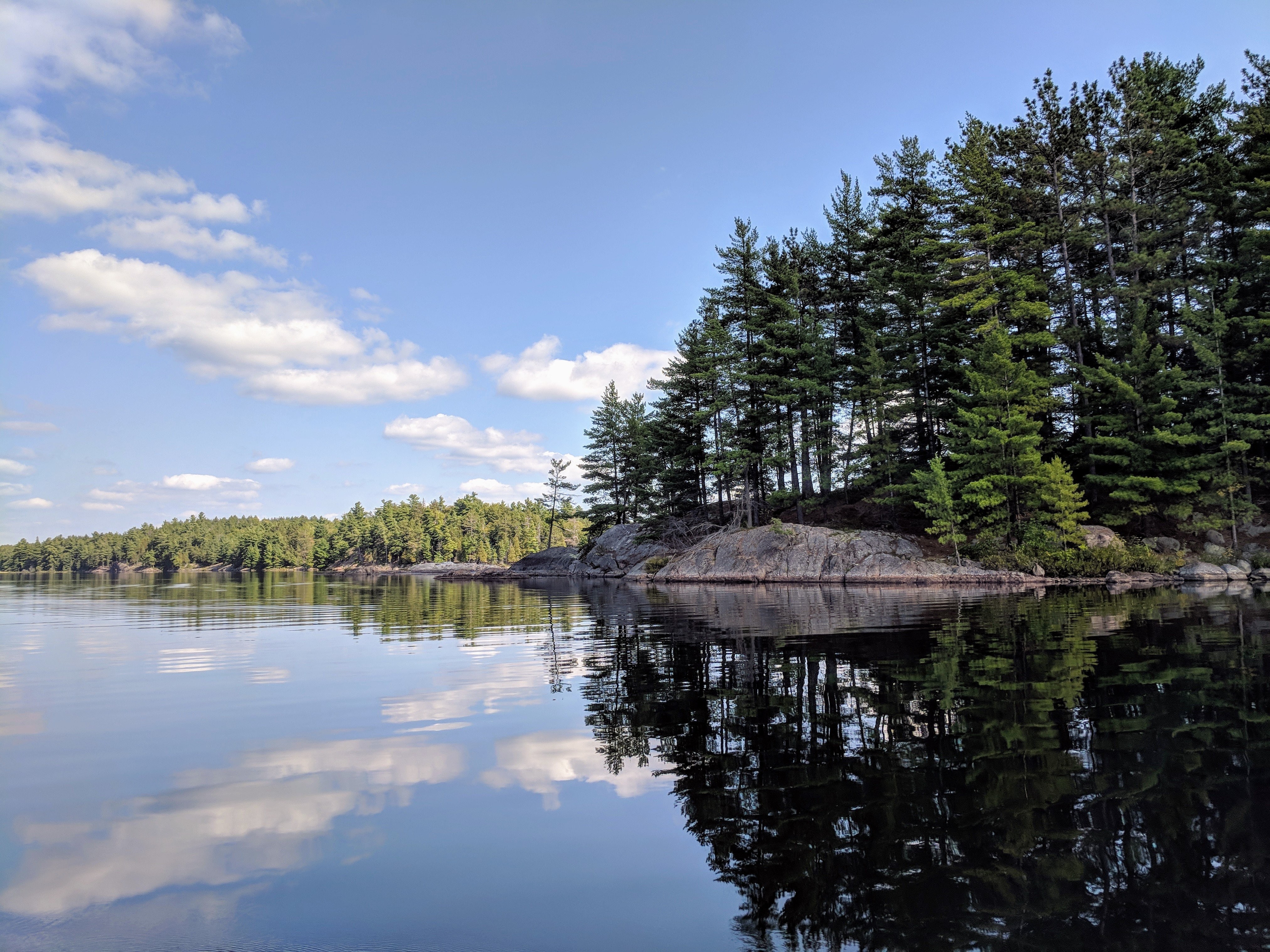 Stunning Trees Casting Shadows on Tranquil Waters Below
