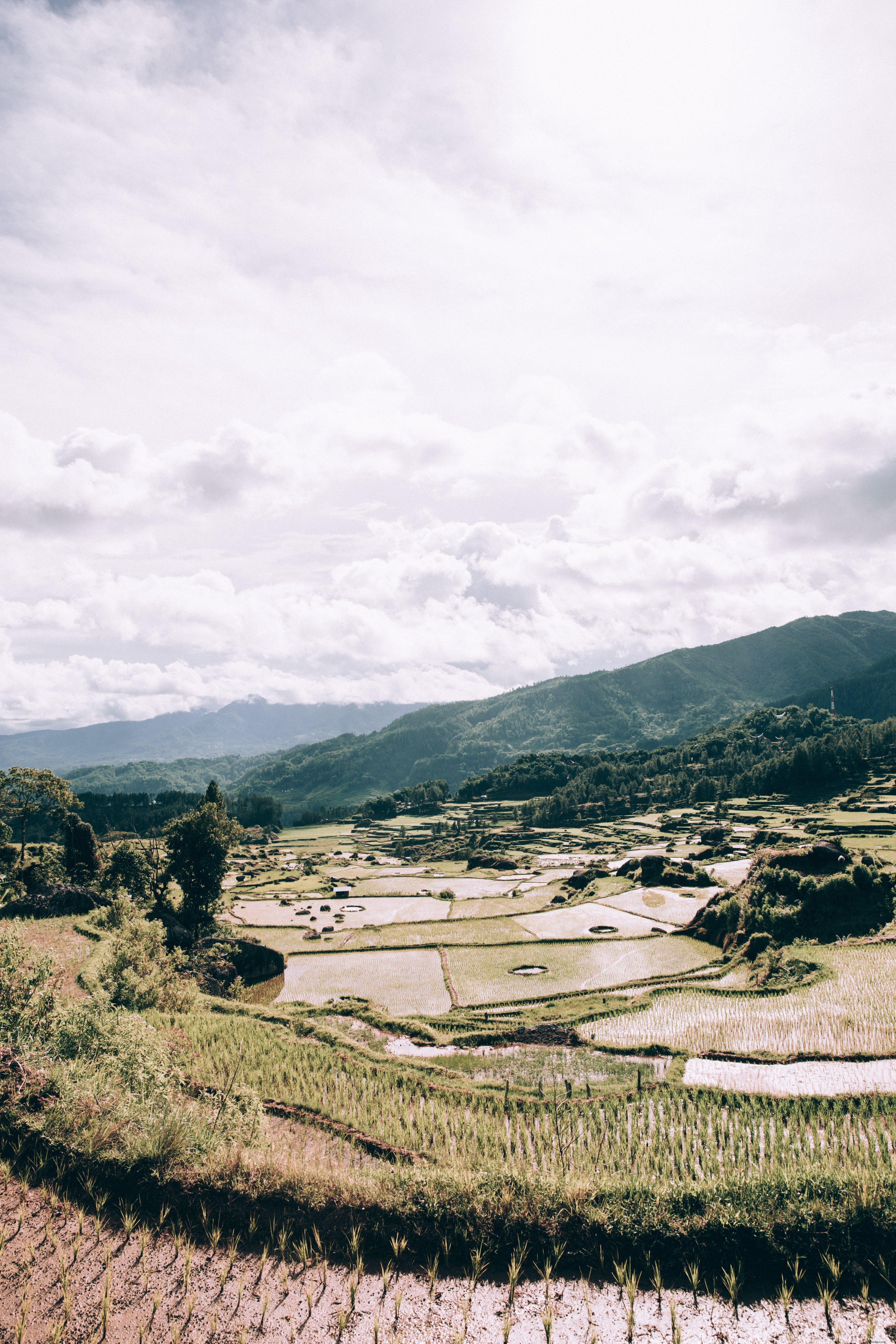 Vibrant Sunny Valley Farmland: Radiant Sunshine Landscape Photo