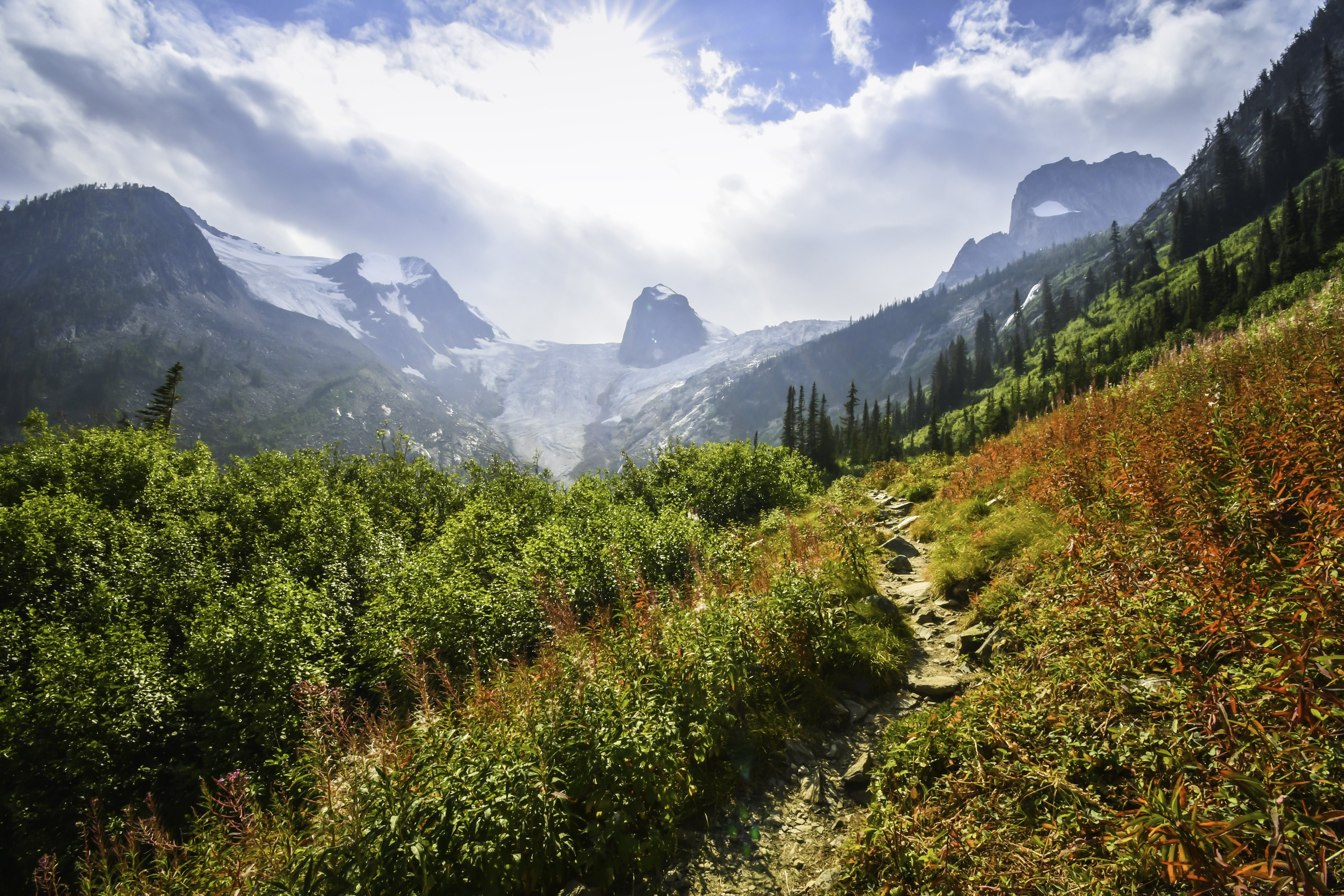 Stunning Rocky Mountain Path Framed by Lush Greenery in Golden Sunlight – Premium Photo