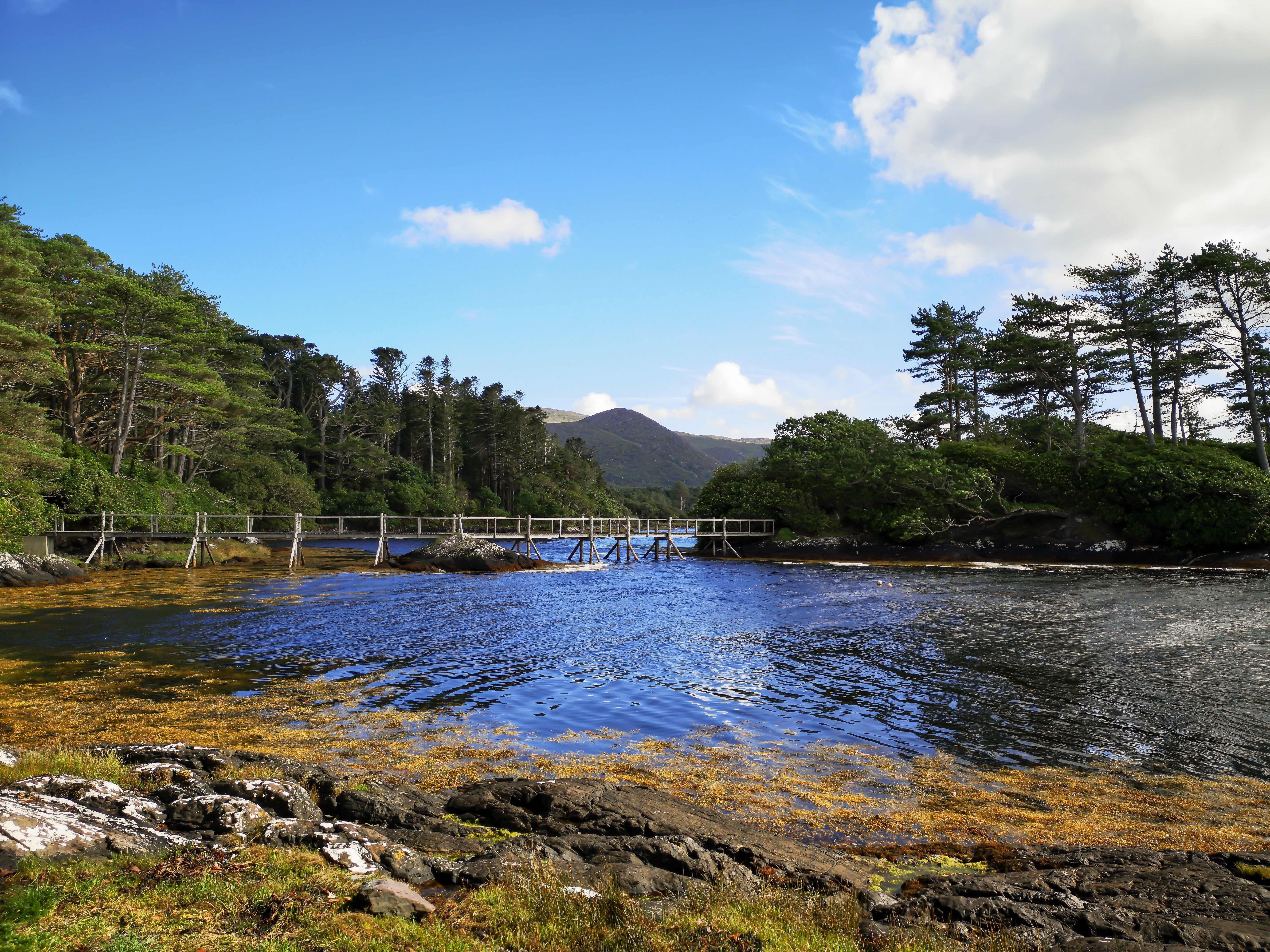Serene River Flowing Beneath Wooden Walkway Under Clear Blue Sky – Stunning Photo