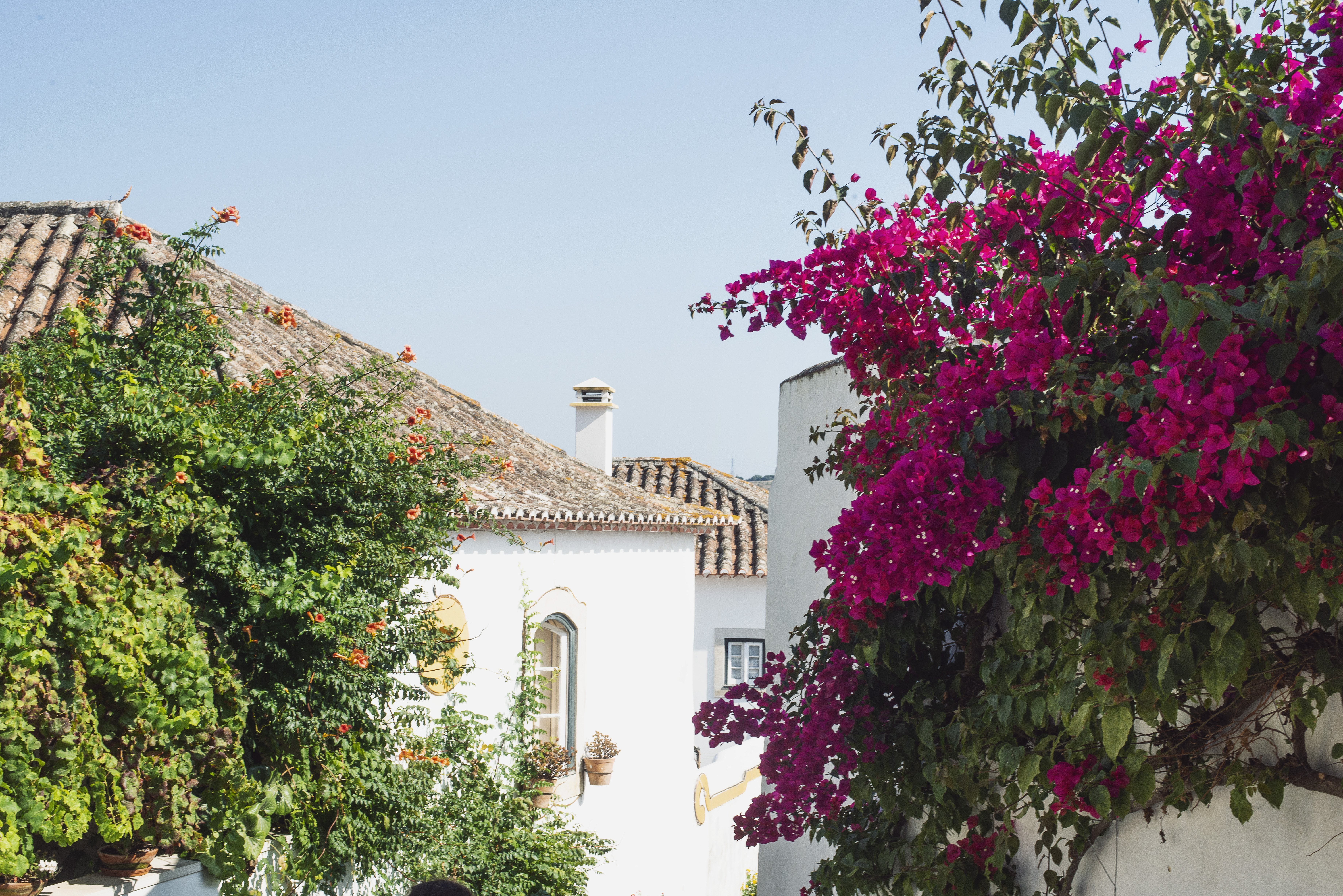 Vibrant Colors on Pristine White Mediterranean Buildings – Stunning Photo