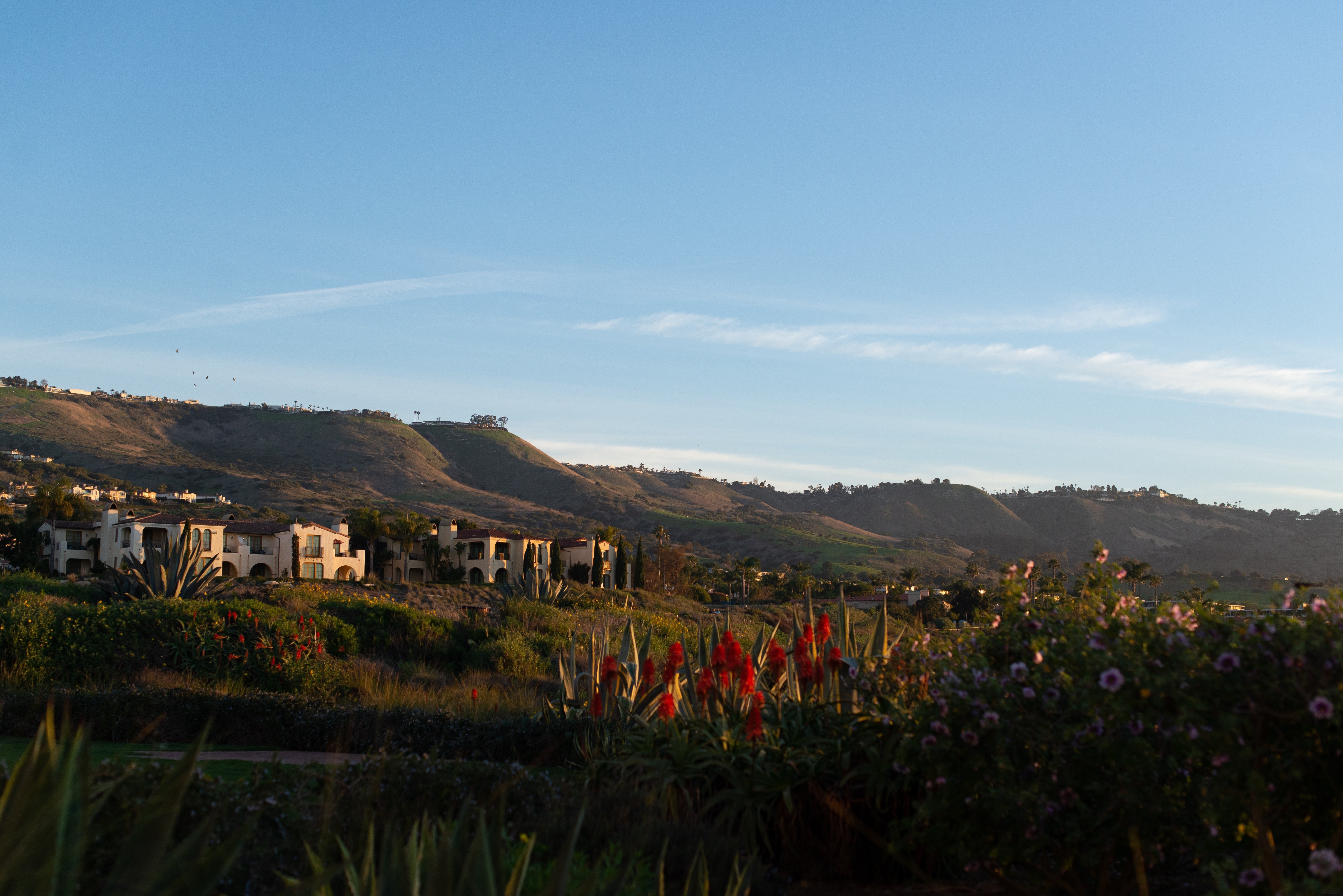 Stunning Sunrise Over Rolling Hills – Captivating Horizon Landscape Photo
